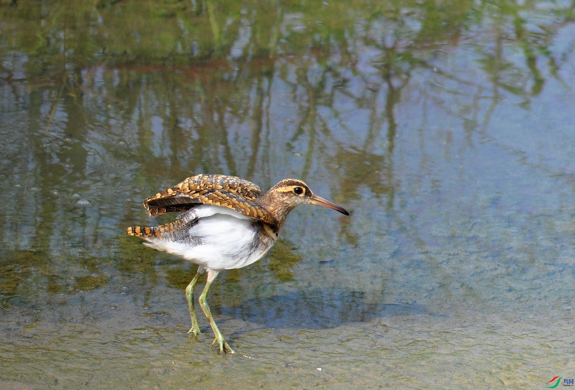 DSC_2590.jpg