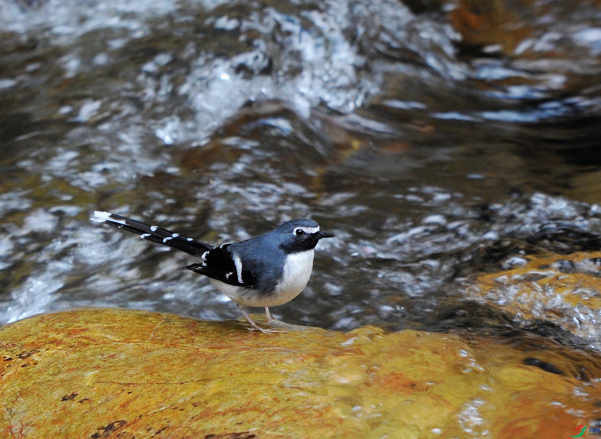 DSC_4174.jpg