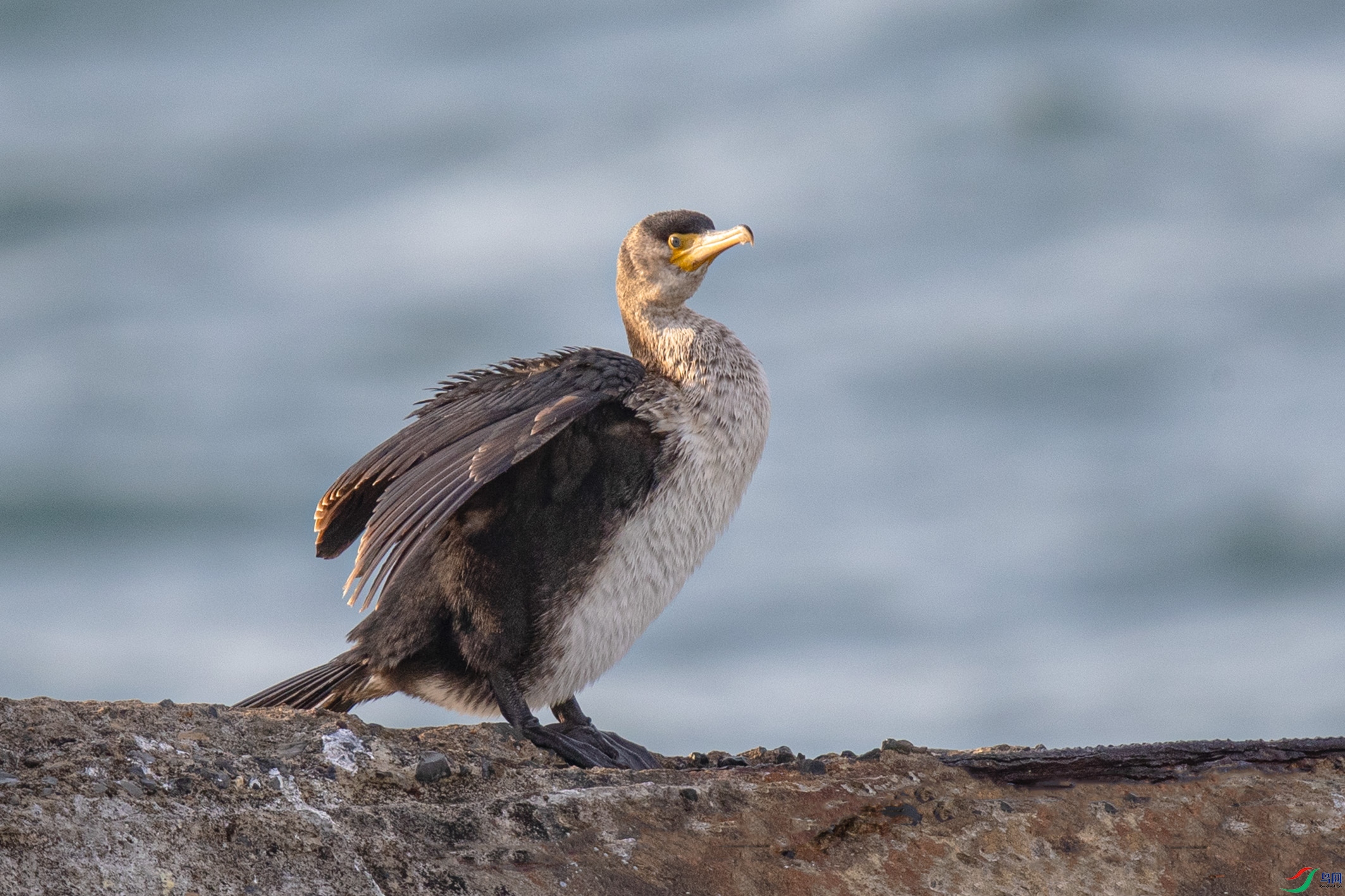 _90I8199 ����.jpg