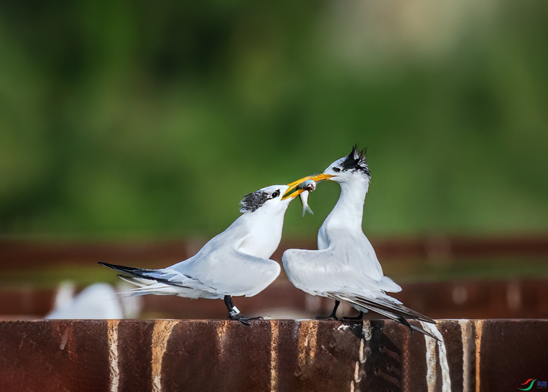DSC_0675.jpg