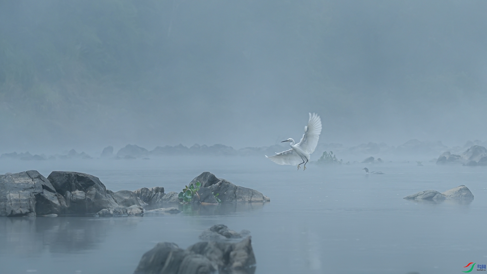 �����ɾ�������