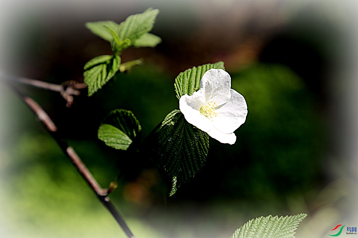 IMG_3565.jpg
