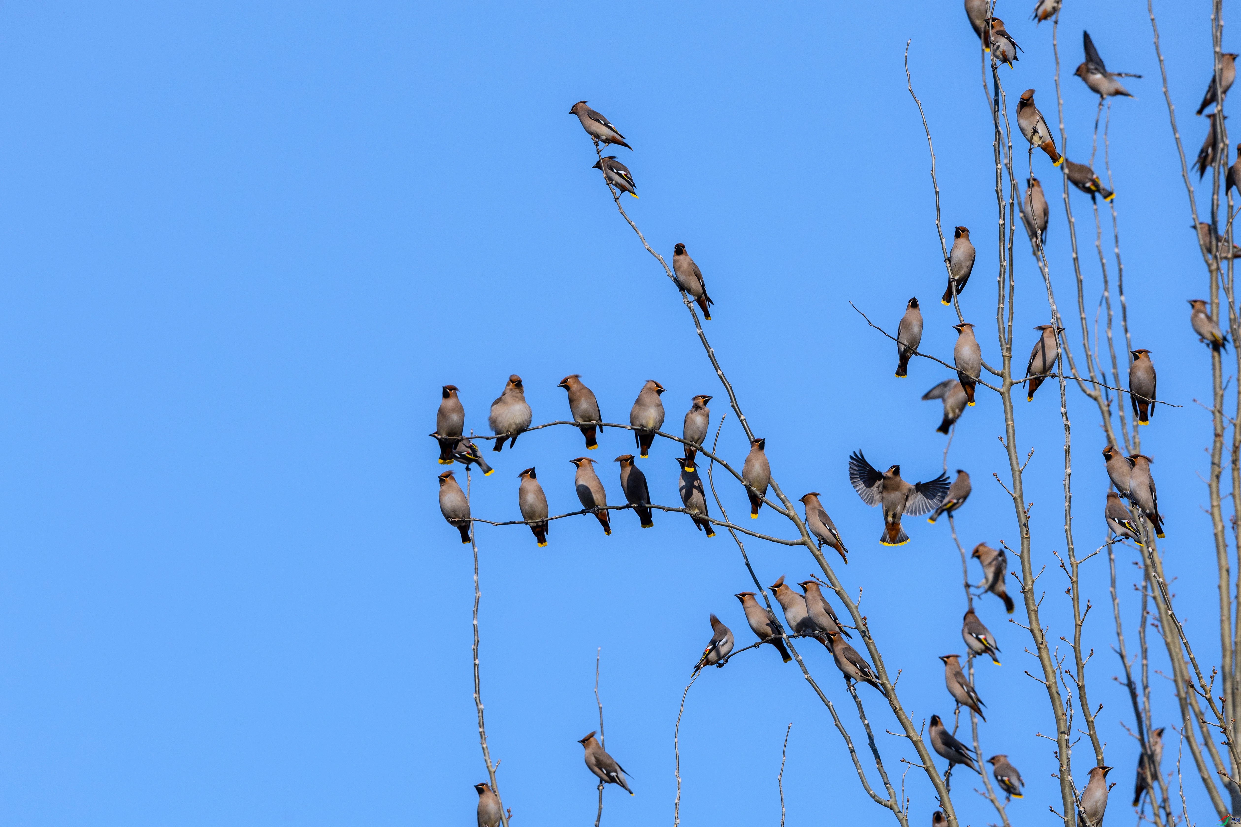 _X5A82891111 - ����.jpg