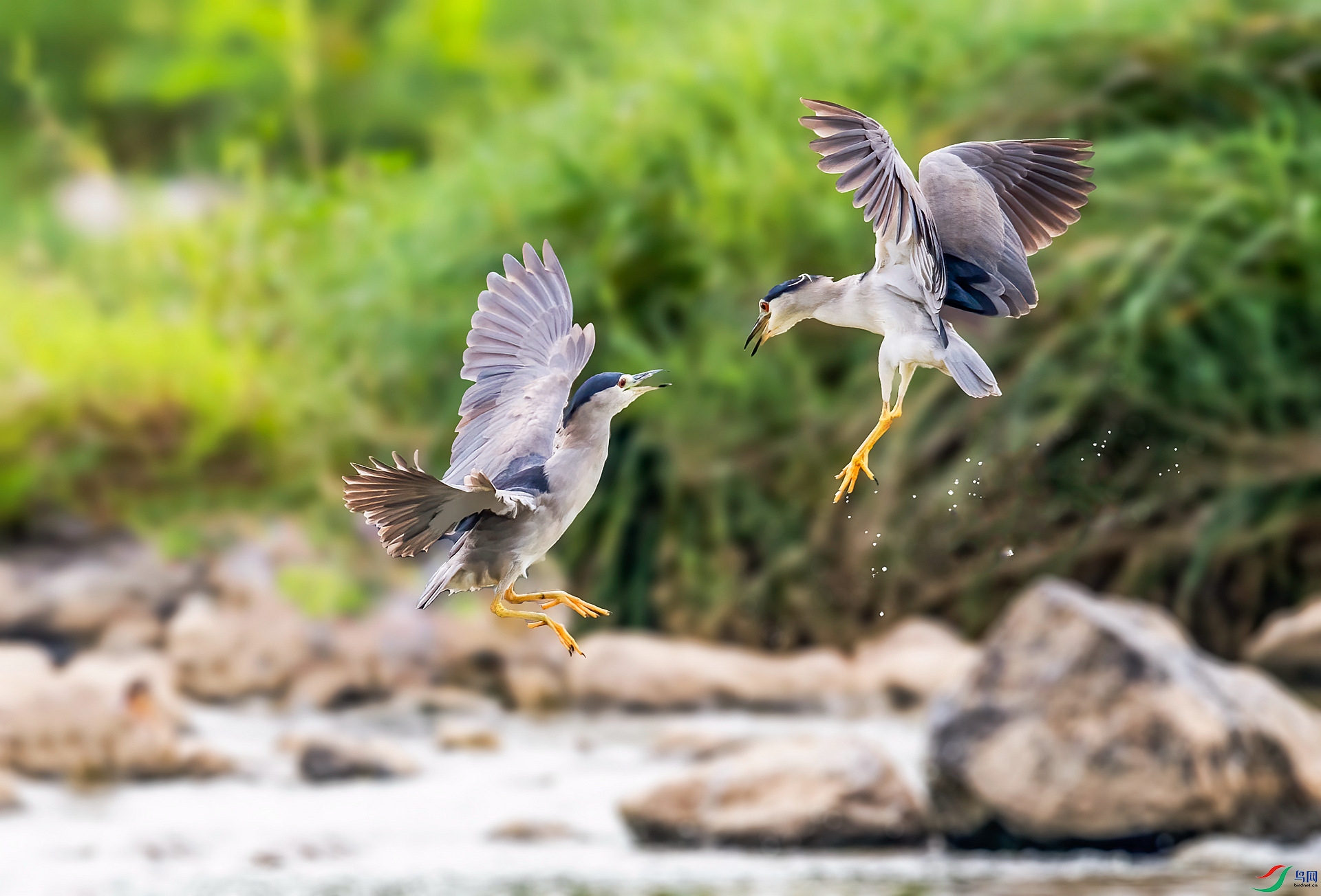 DSC_1315 ����_����.jpg