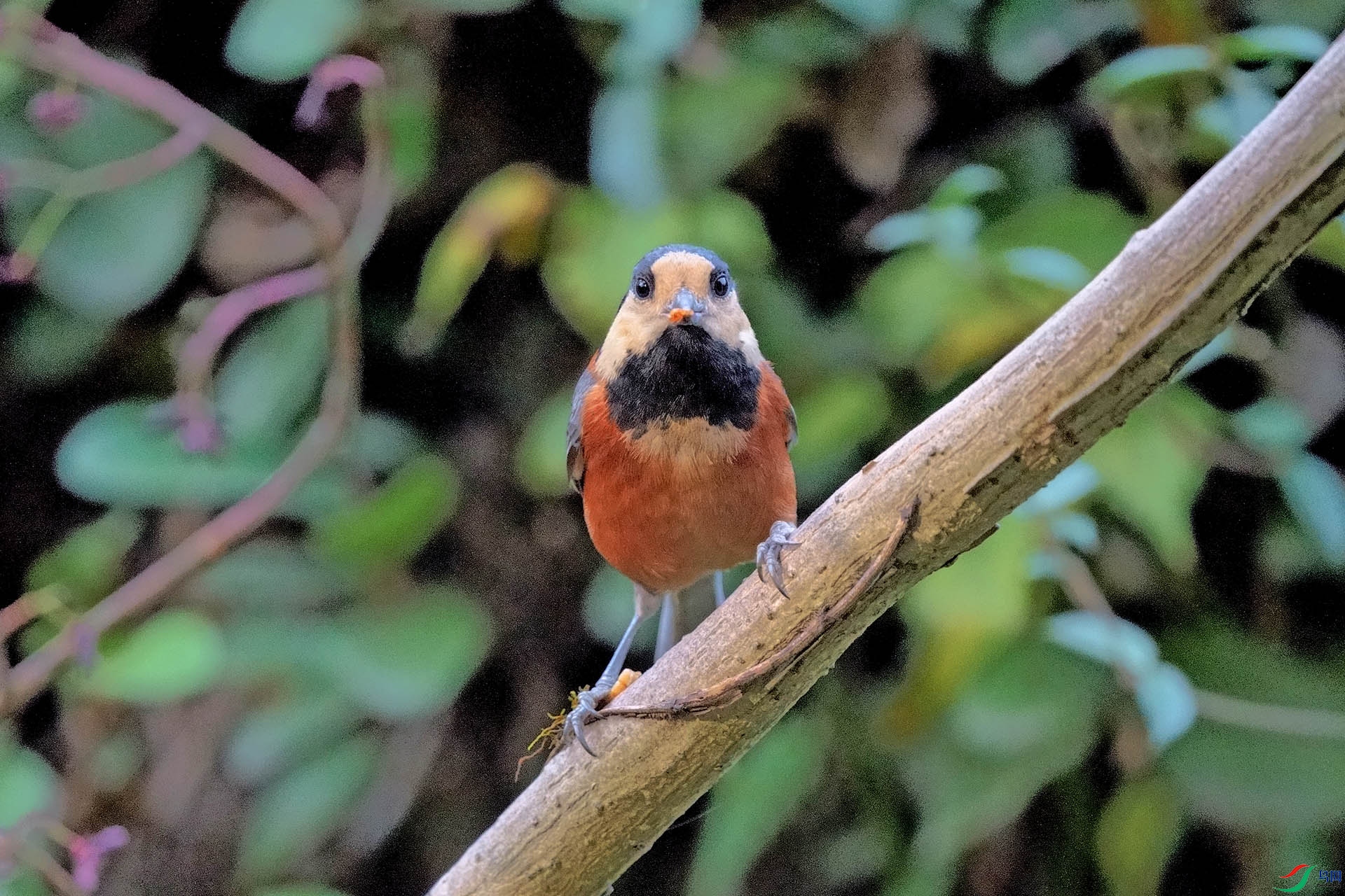 DSC00134.JPG