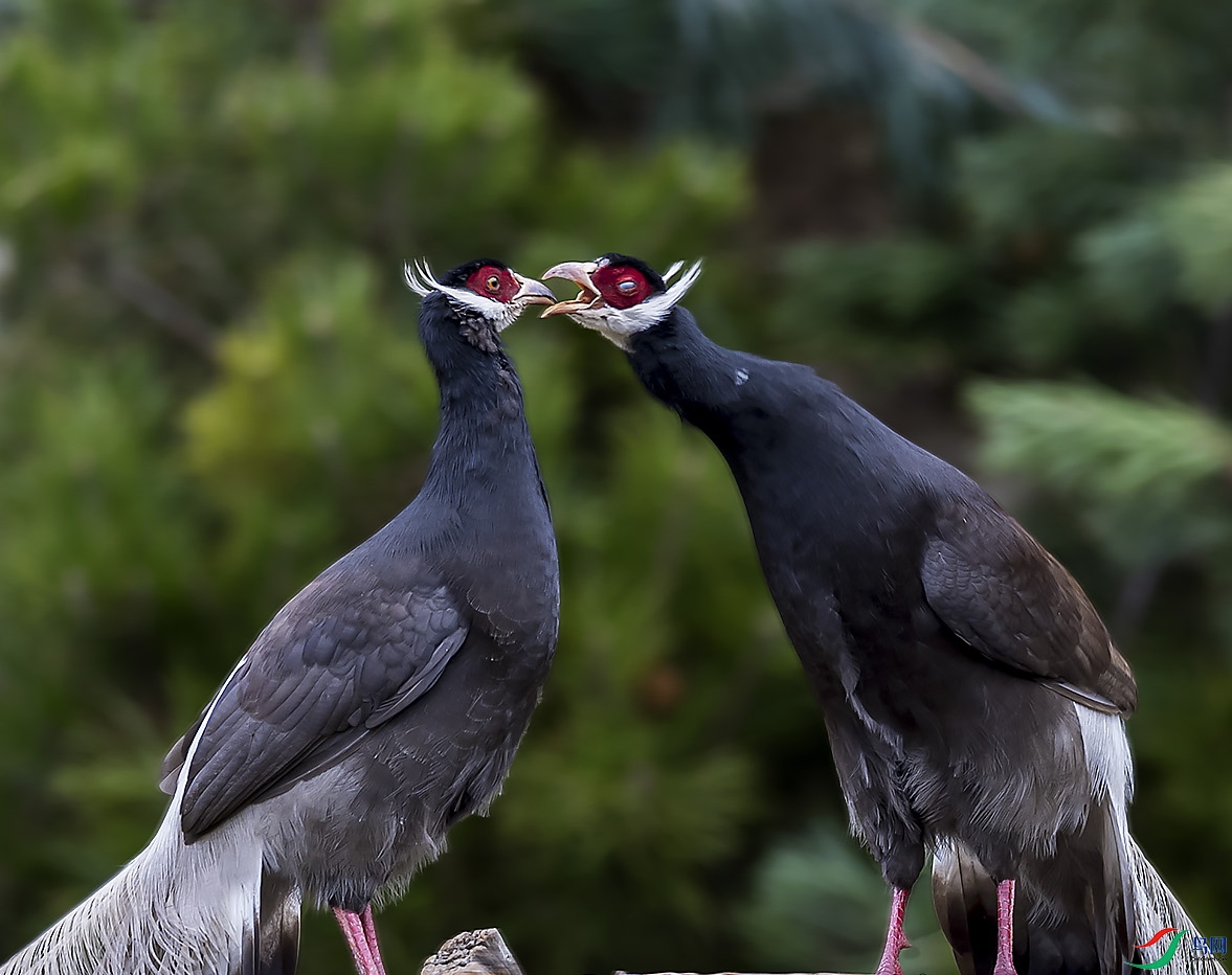 �����۾�