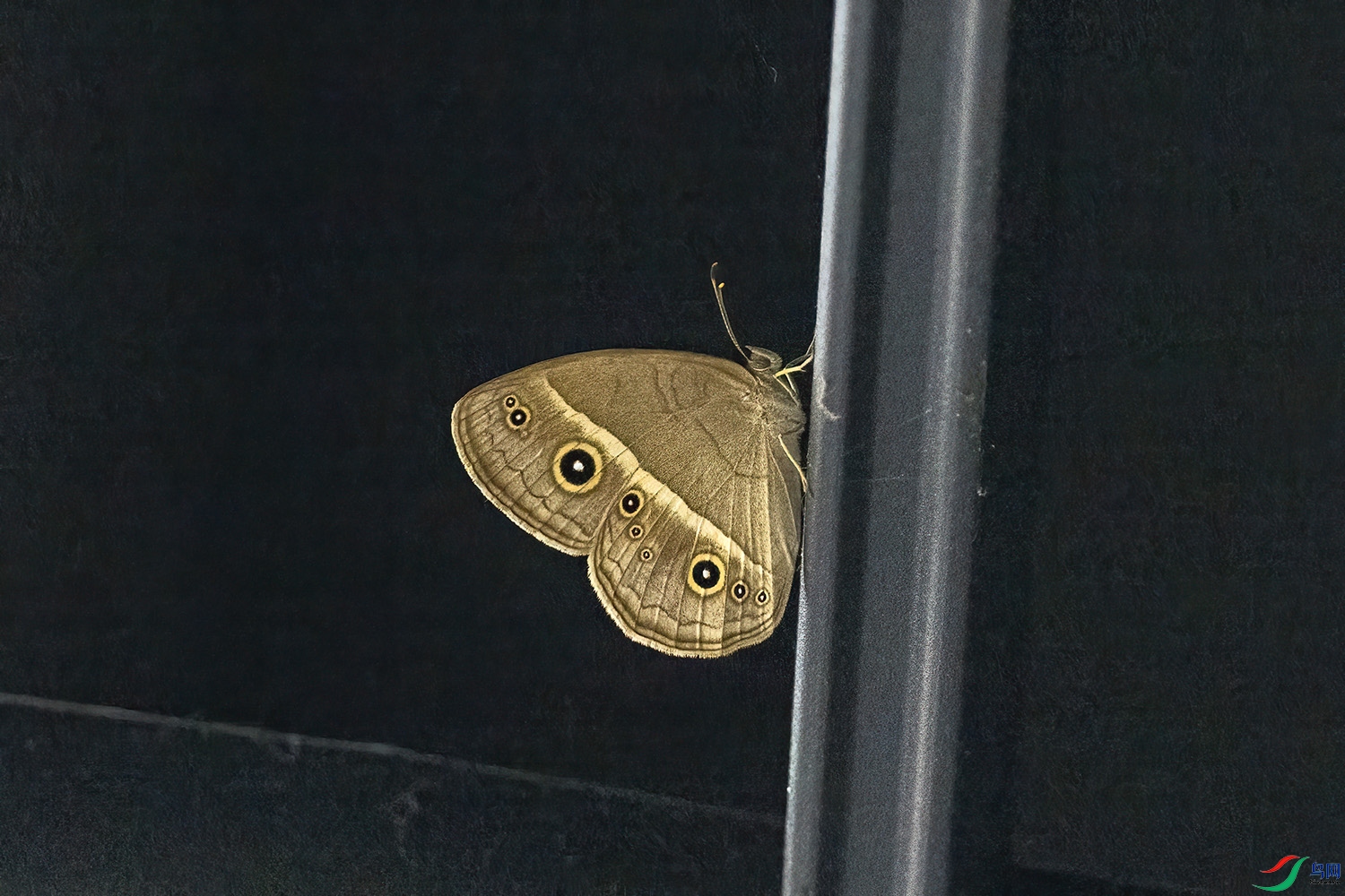P6171548-��ü�۵�.jpg