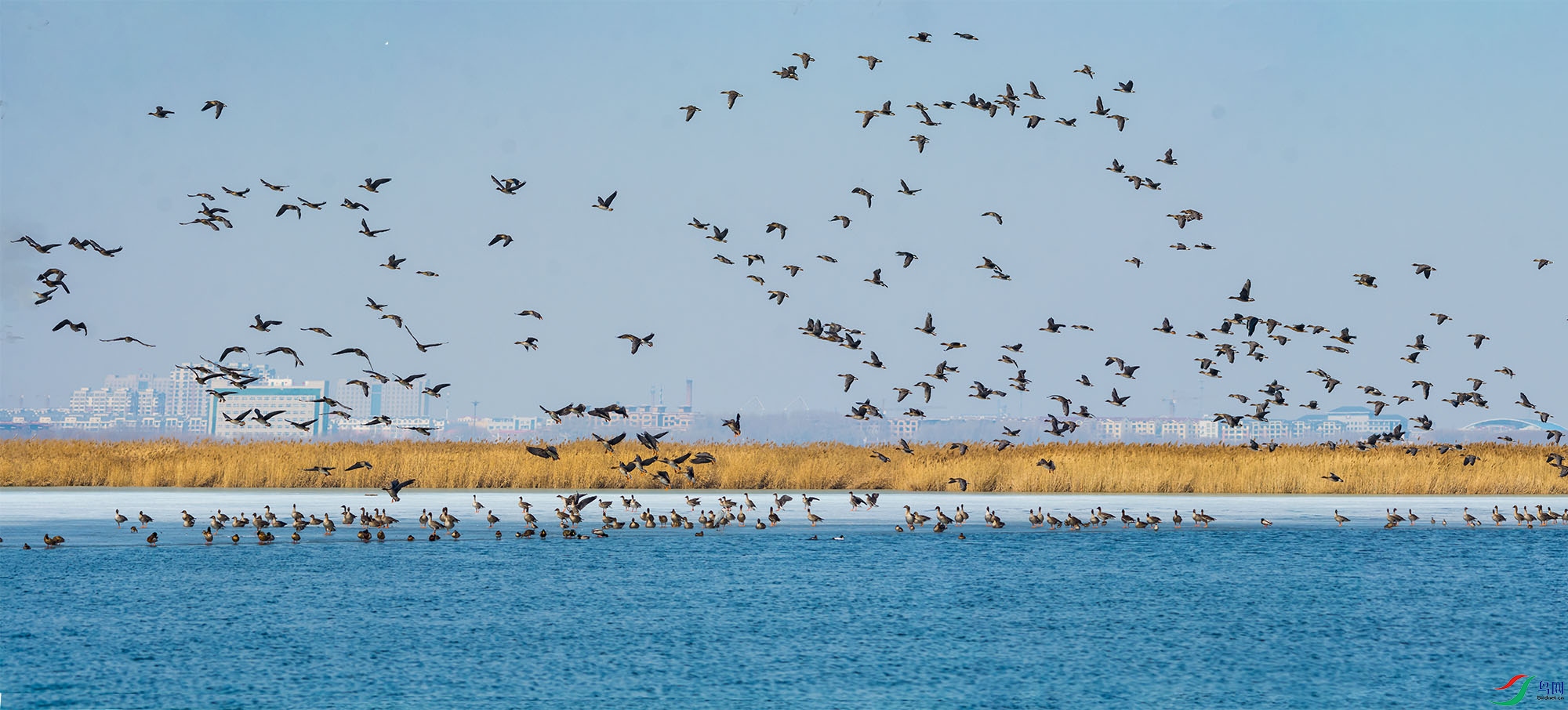 hn2018.03.21DSC_03721-Pano.jpg
