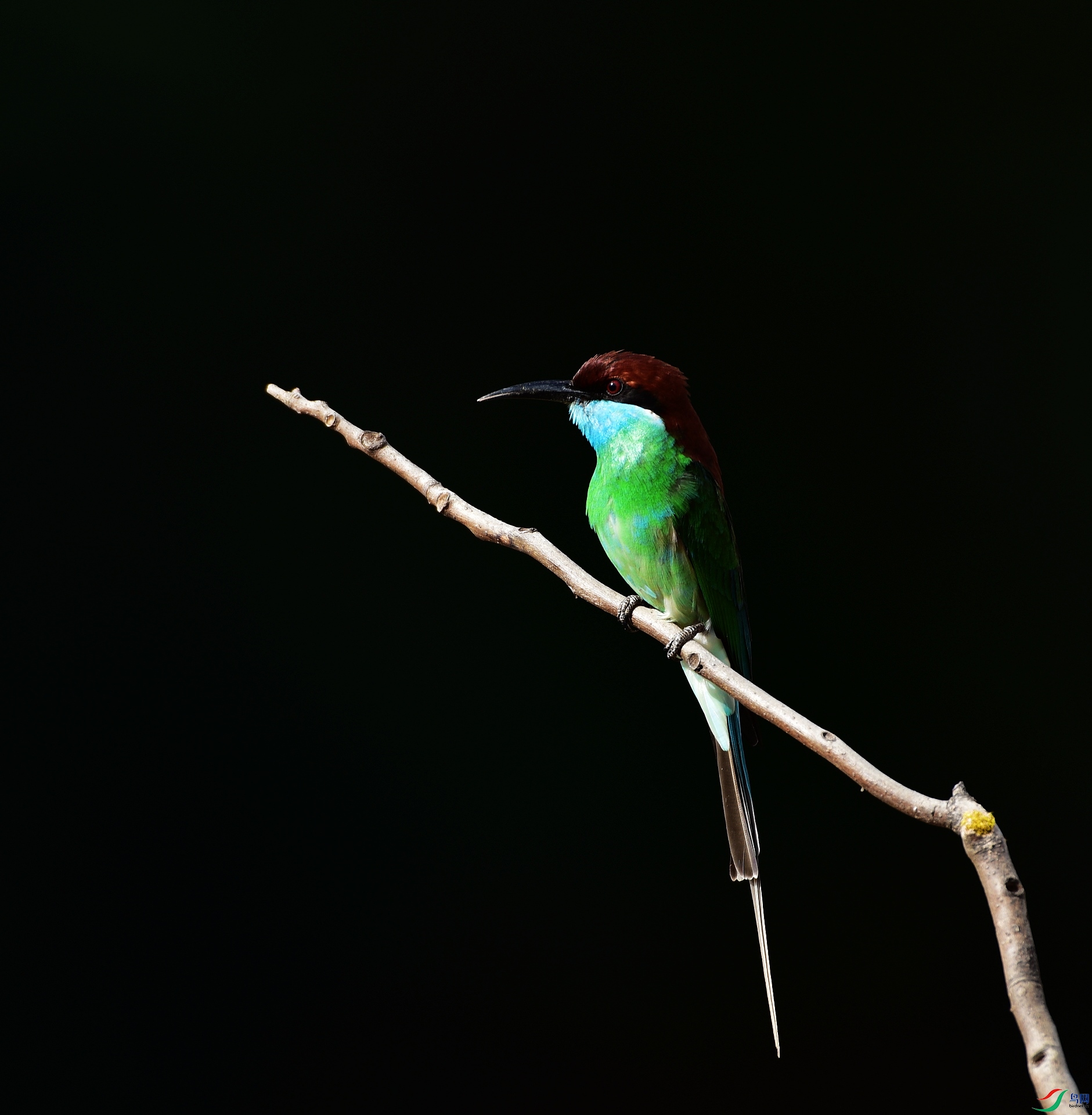 D8I_1378.jpg