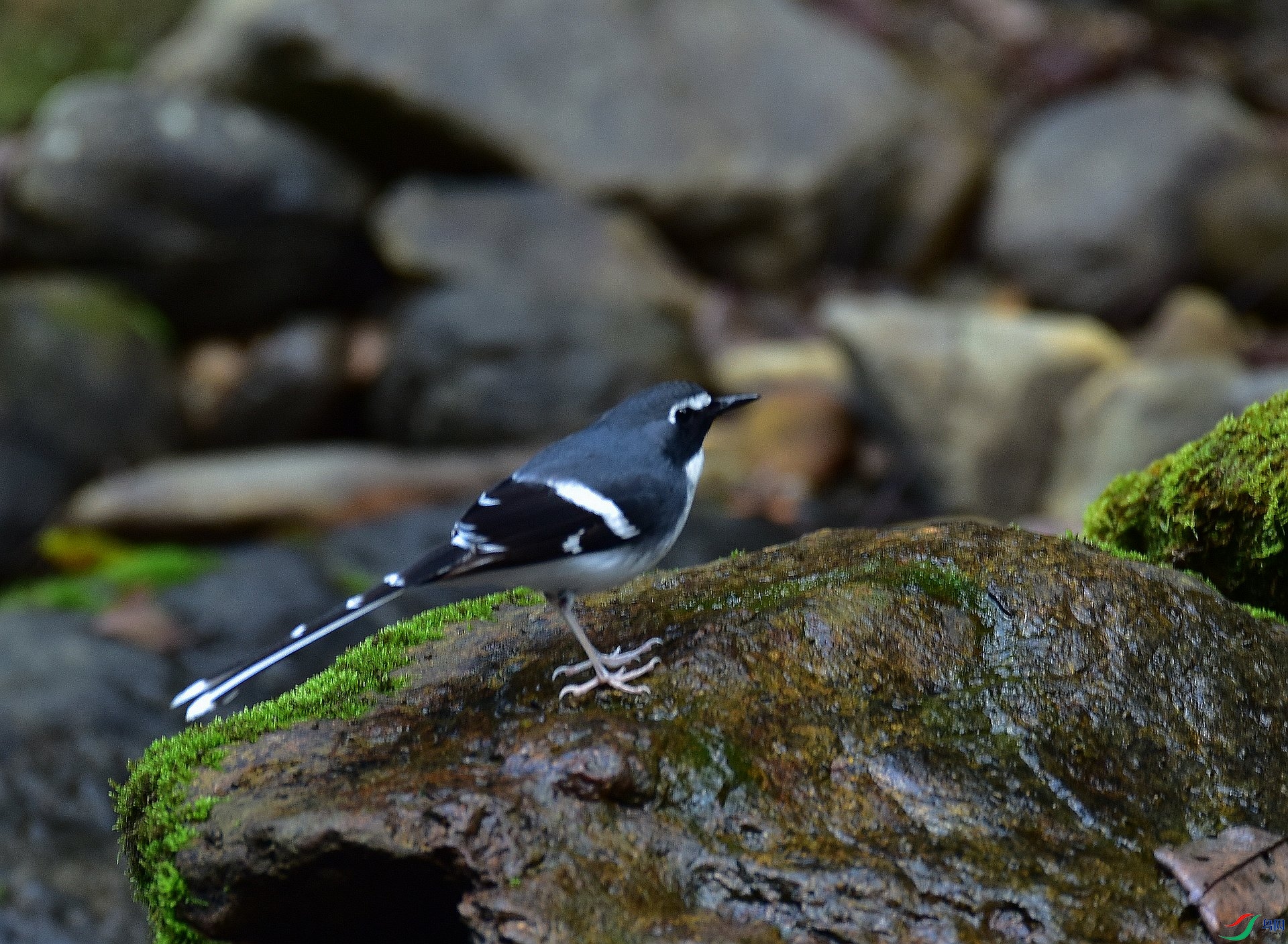 D8I_9570.jpg