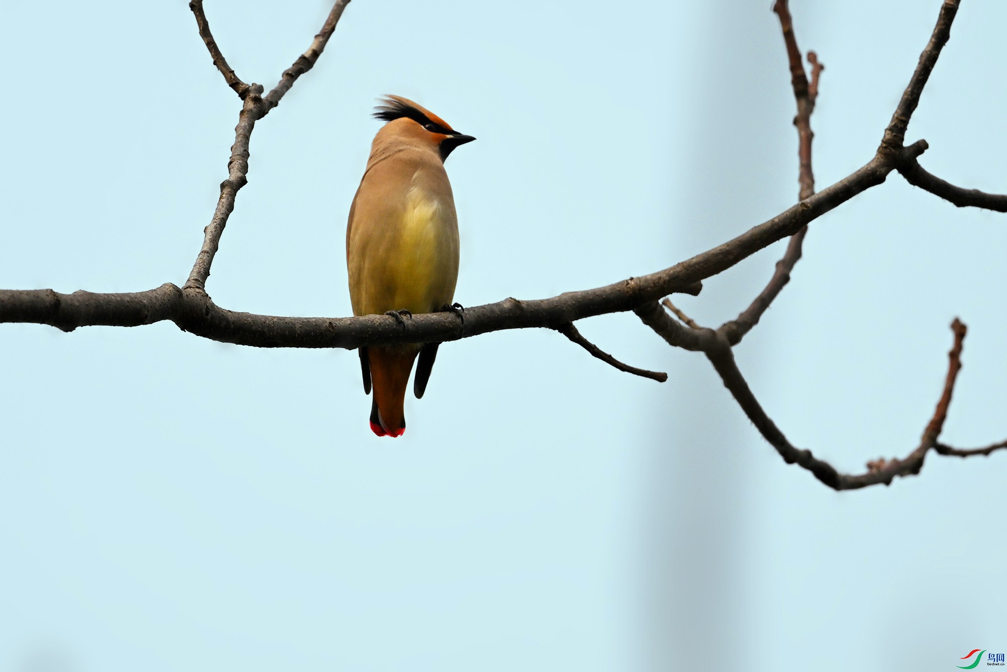 DSC_4325_.jpg