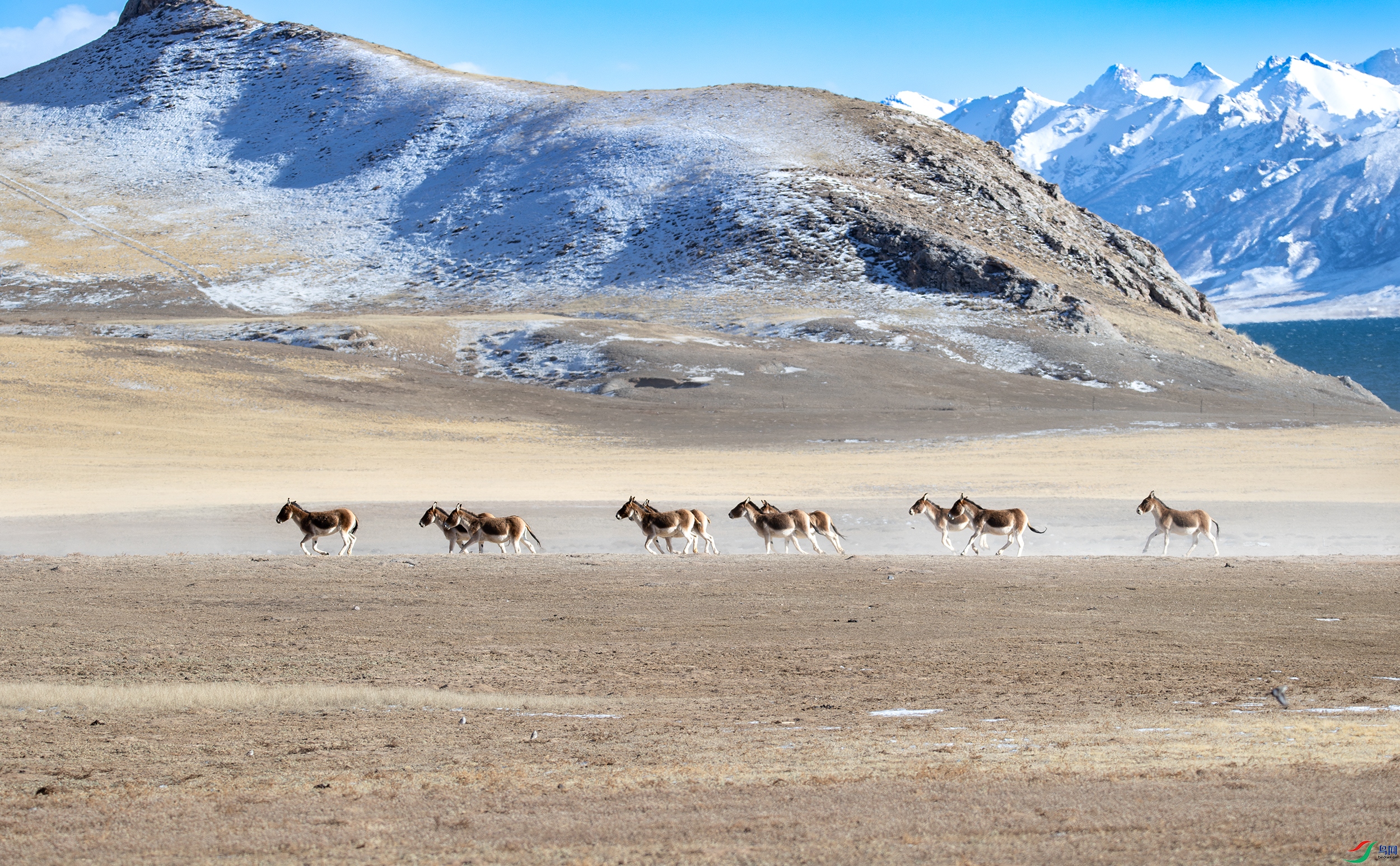 A15I0835-NR ����.jpg