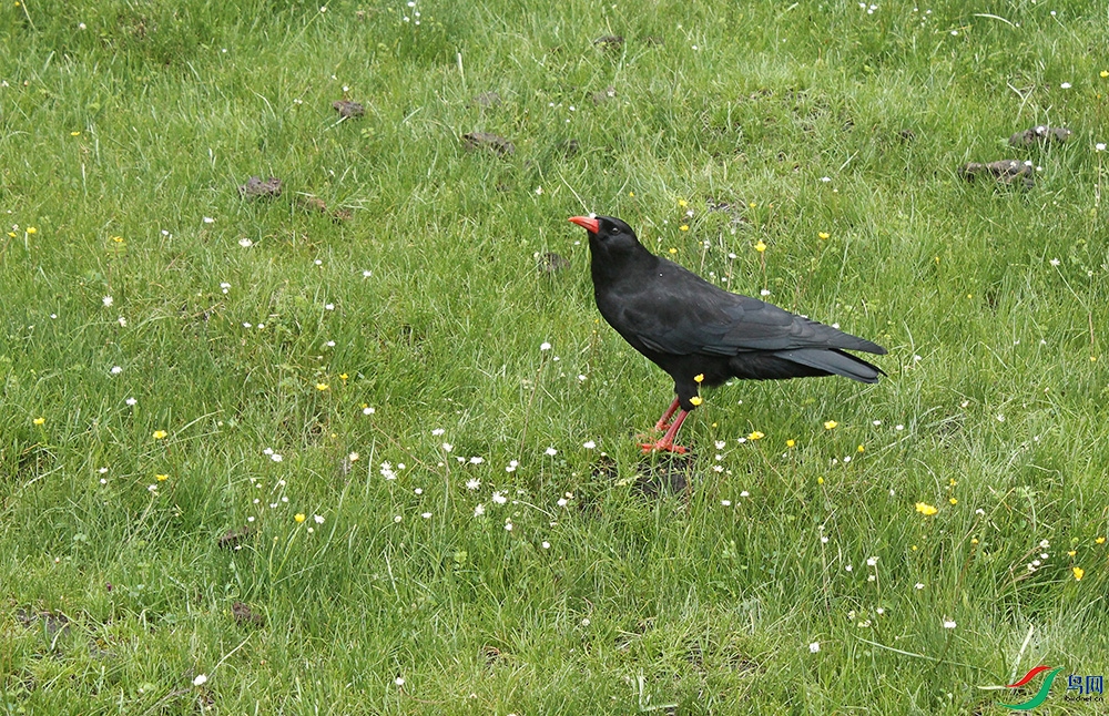 IMG_1716.1.JPG