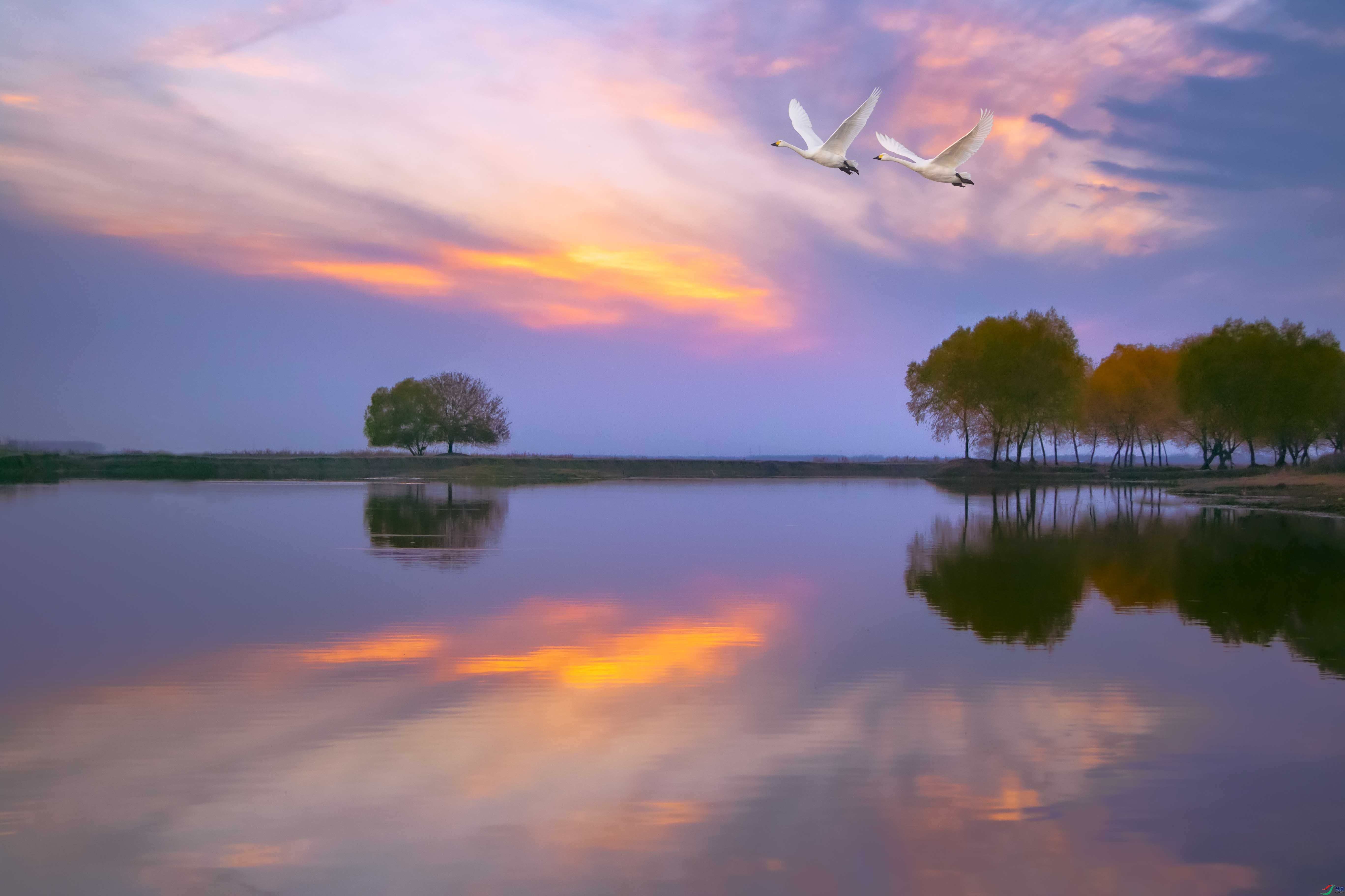 _91A1342-�ָ��� ����.jpg