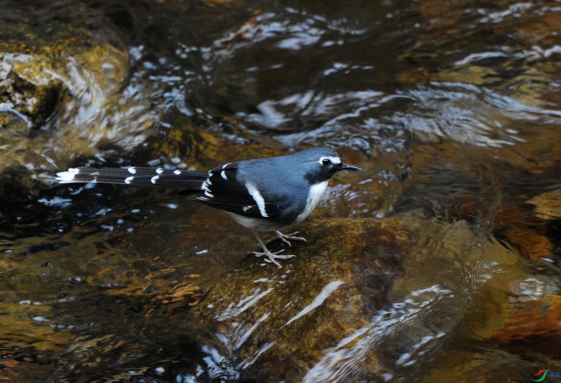 DSC_4179.jpg