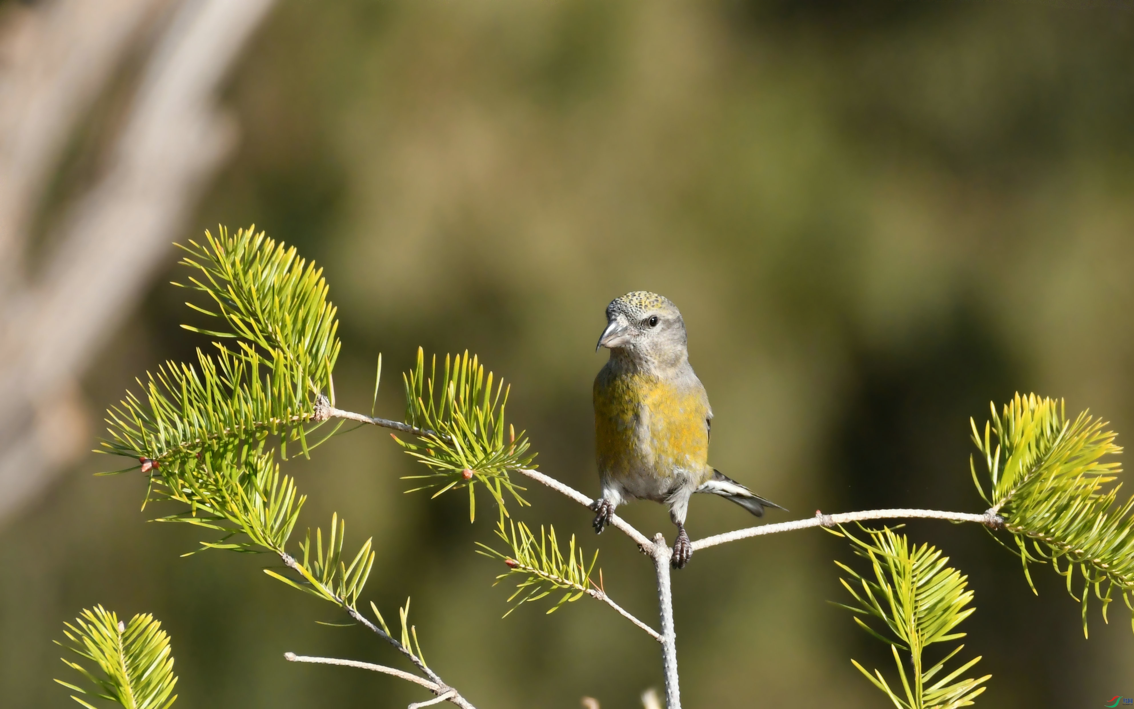 DSC_7582.JPG