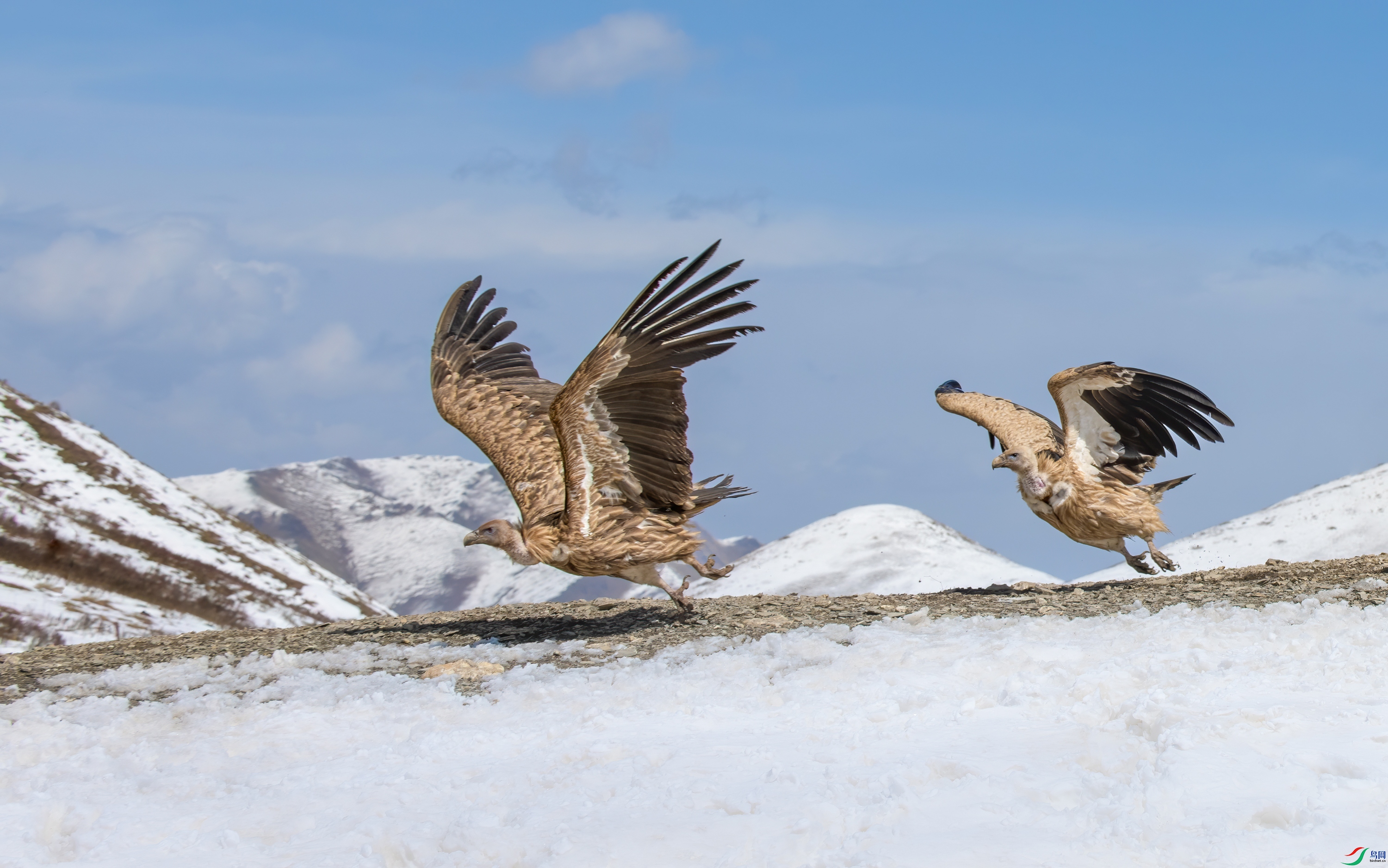 DSC_1825-11.jpg