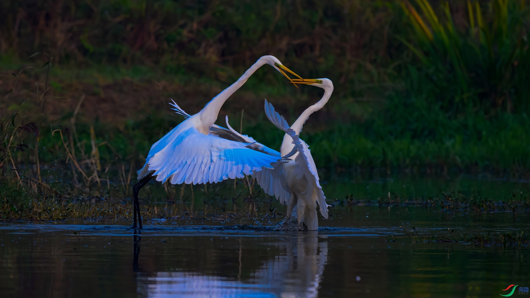 _DSC8151 ����-DeNoiseAI-standard (2) ����.jpg