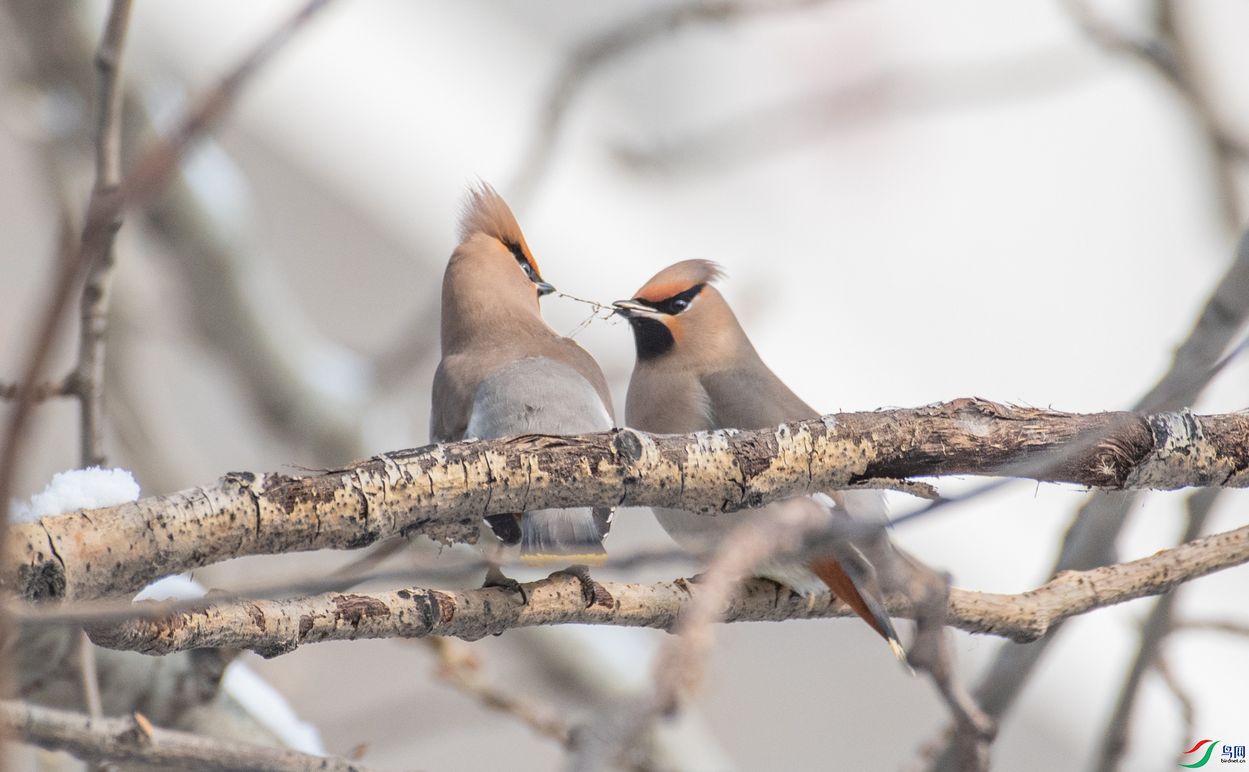 DSC_0350.jpg