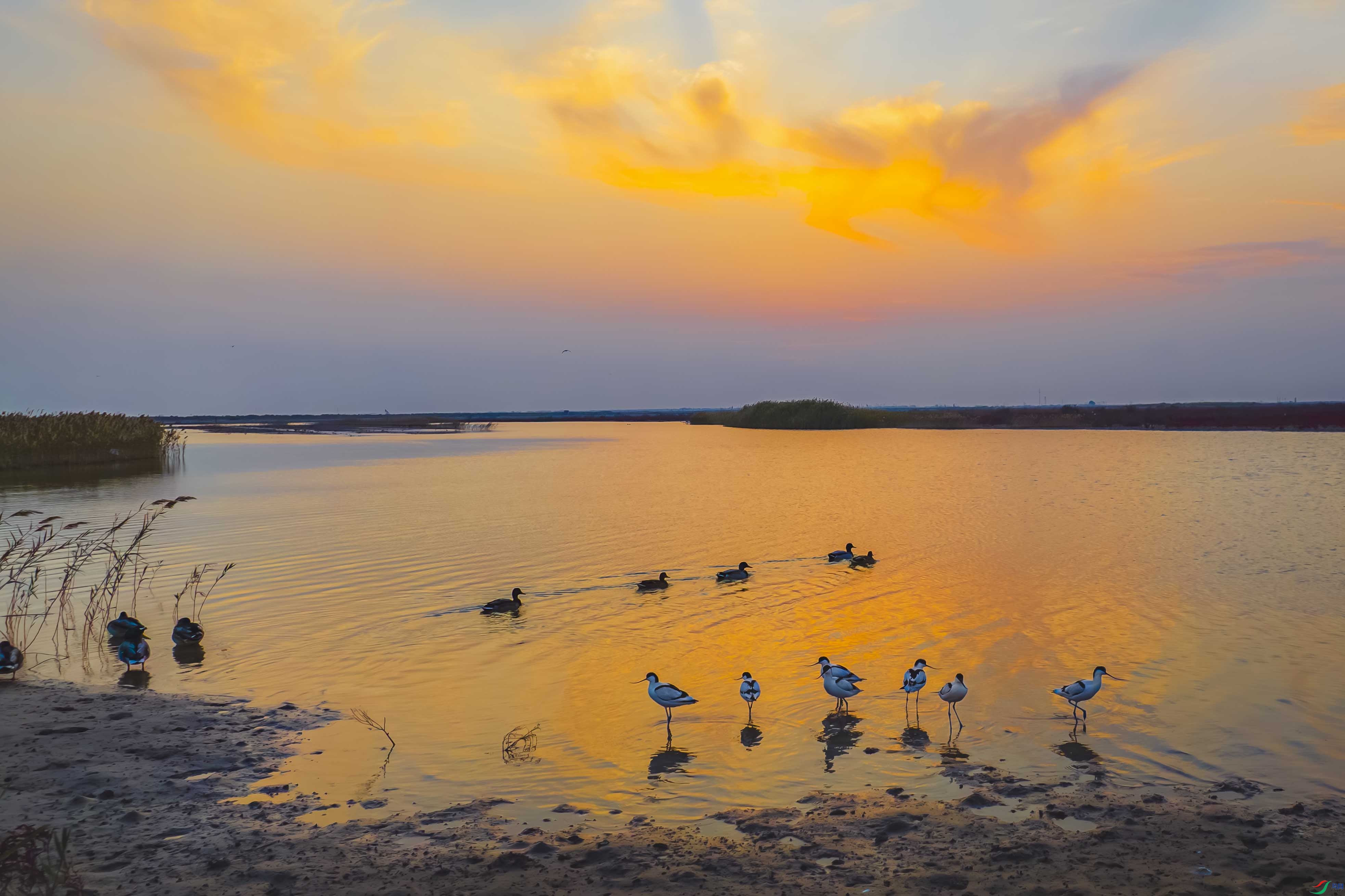 DJI_0871.jpg