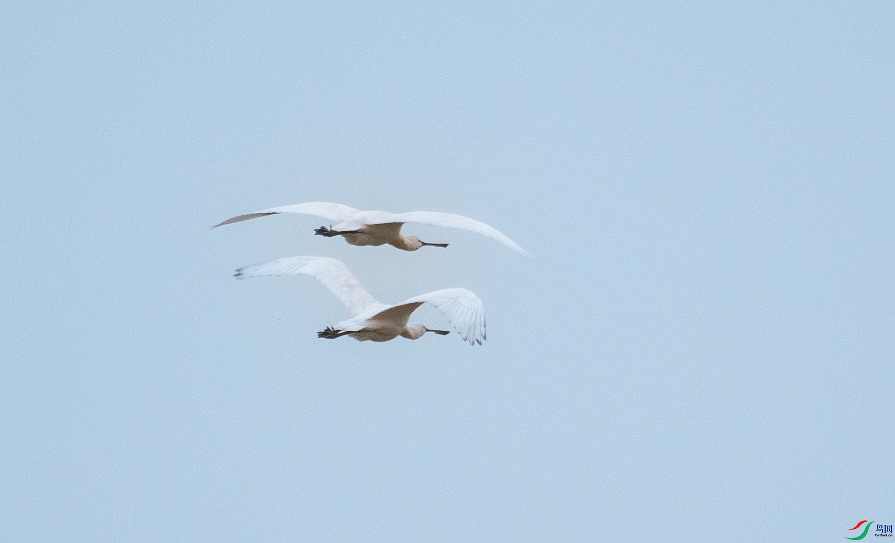 DSC_1169.jpg