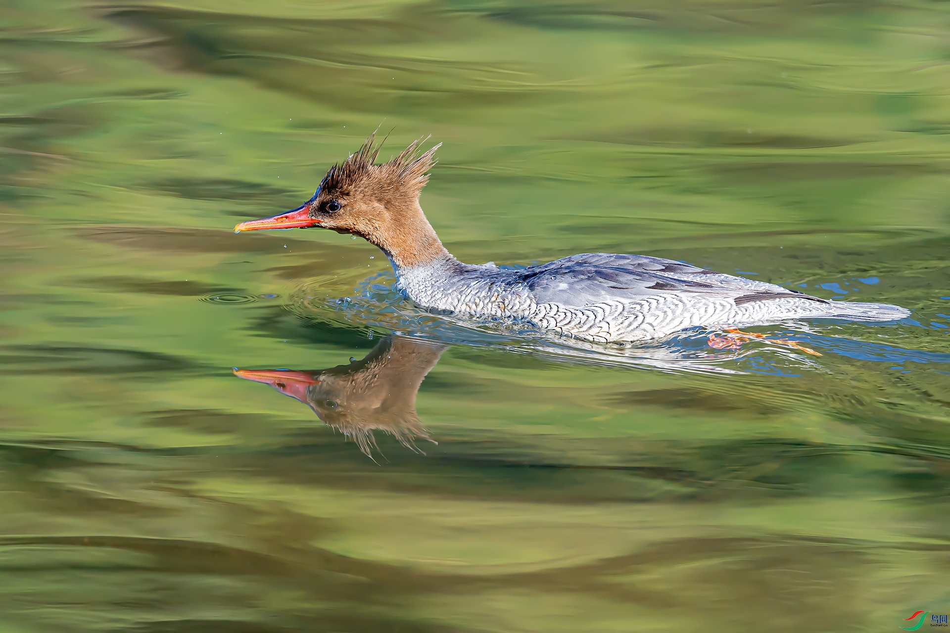 20231213�л���ɳѼ (��).jpg