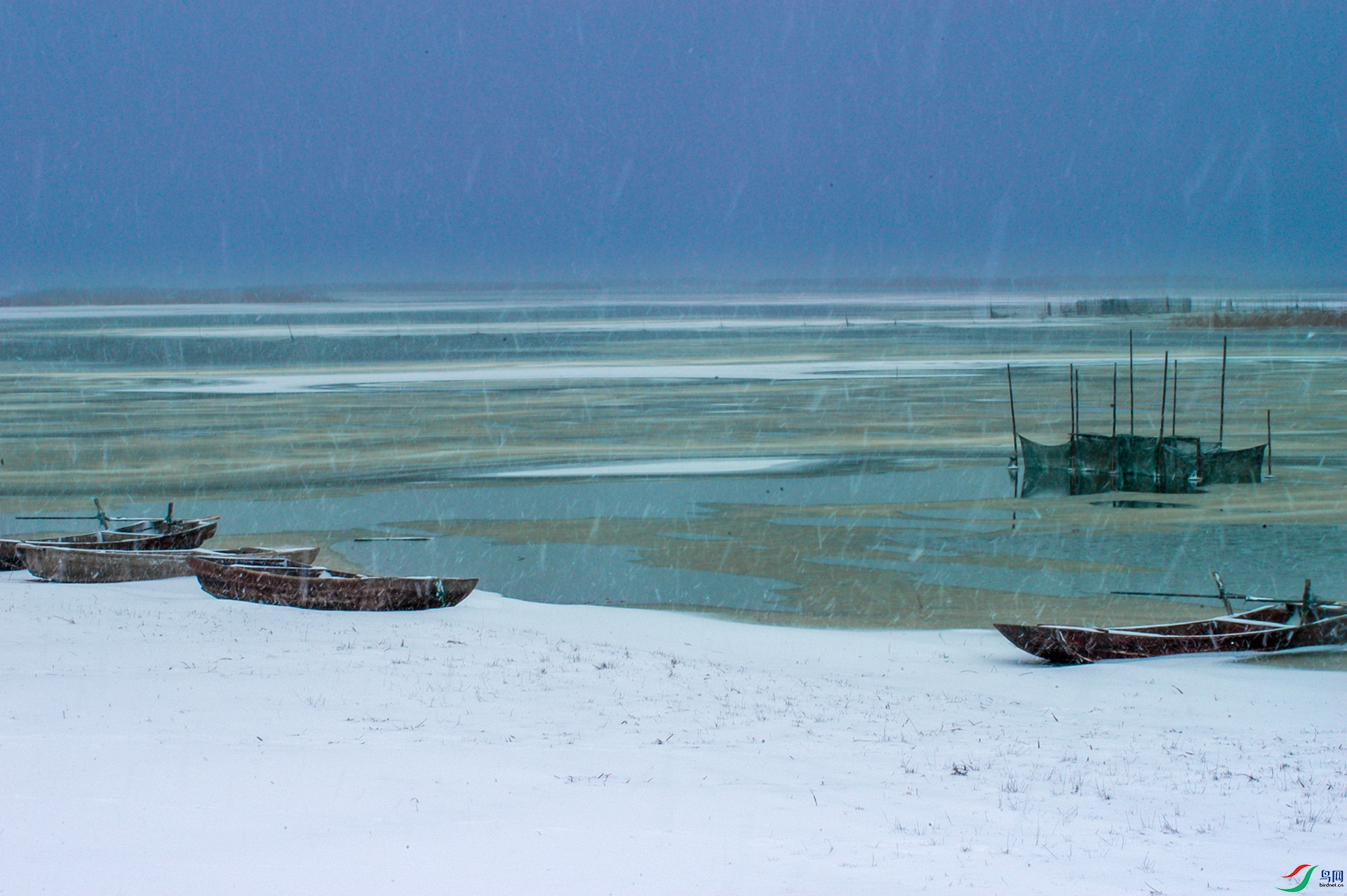 DSC_0047-1.jpg