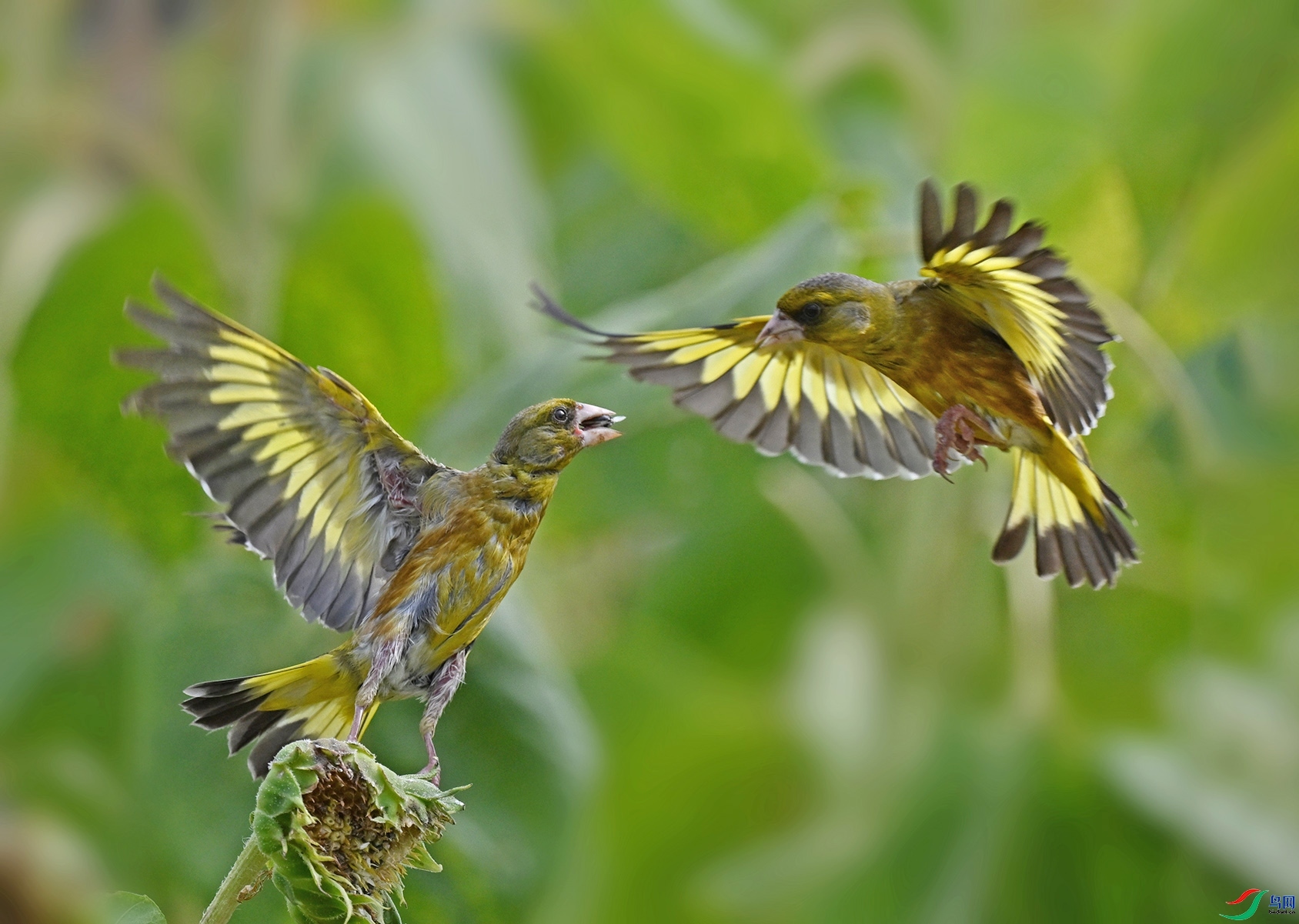 12.10hzhao��ʦ��Ʒ   ���ȸ   �ٻ�2023��12��10�ջ�Ա��ҳ����.jpg