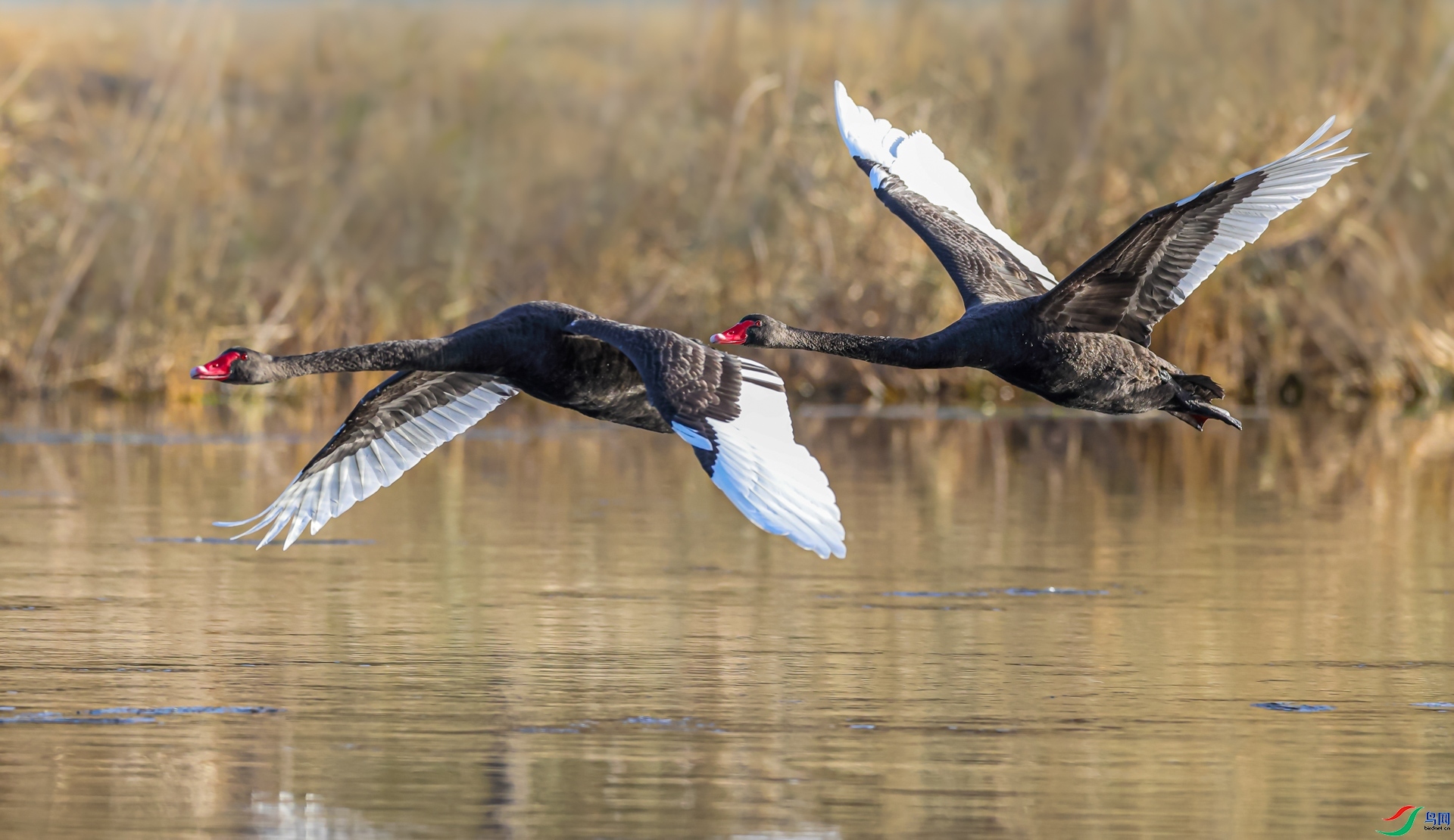 12.10һö�Ϻ���ʦ��Ʒ   ��ֻ�����   �ٻ�2023��12��10�ջ�Ա��ҳ����.jpg