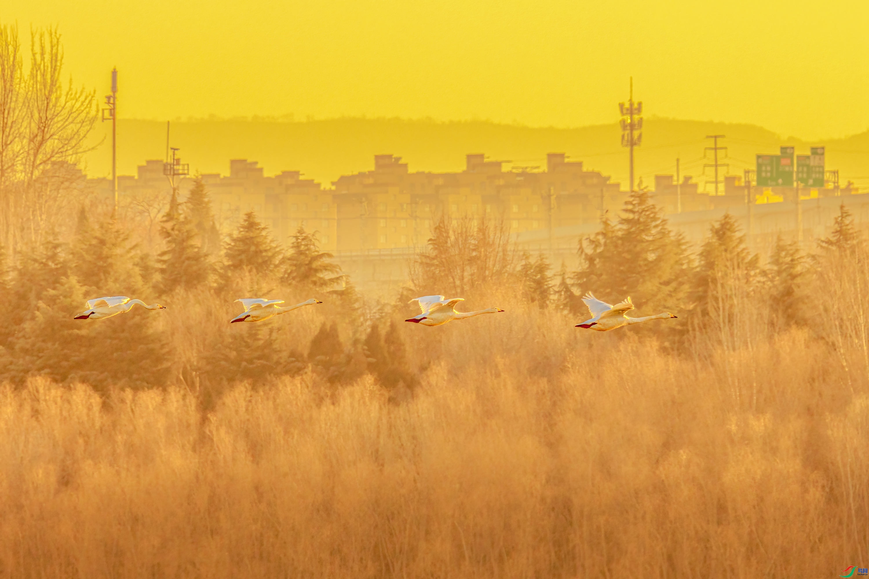 12.11������ڡ��ʦ��Ʒ   ������Ӱ   �ٻ�2023��12��11��������ҳ����.jpg