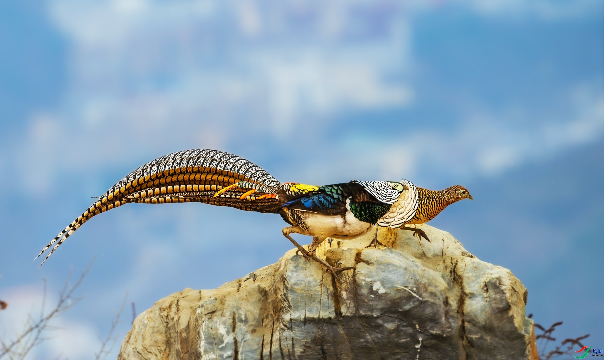 12.11������ͯ��ʦ��Ʒ   ׷��   �ٻ�2023��12��11����Ӱʦ��ҳ����.jpg