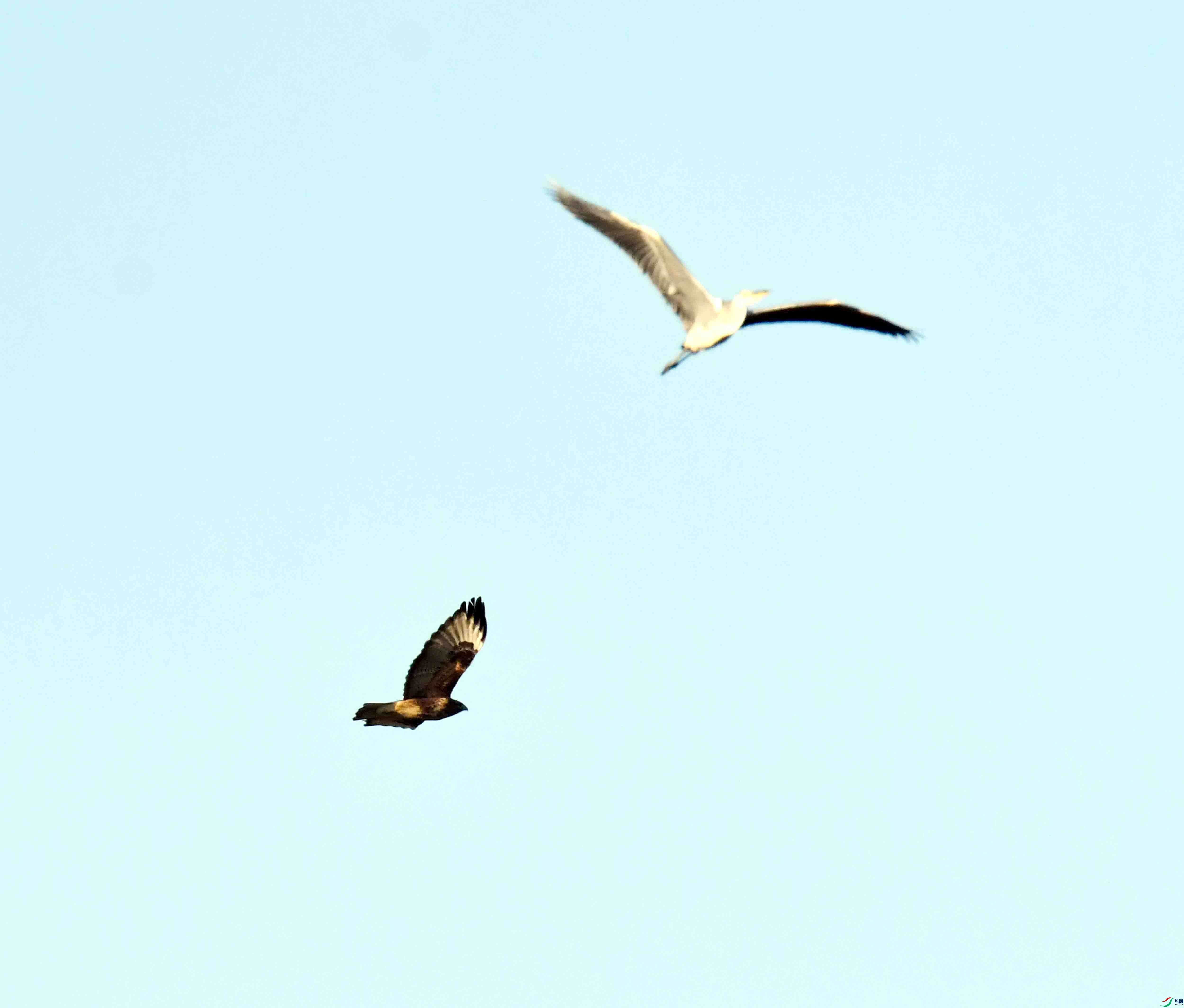 DSC_0293.JPG