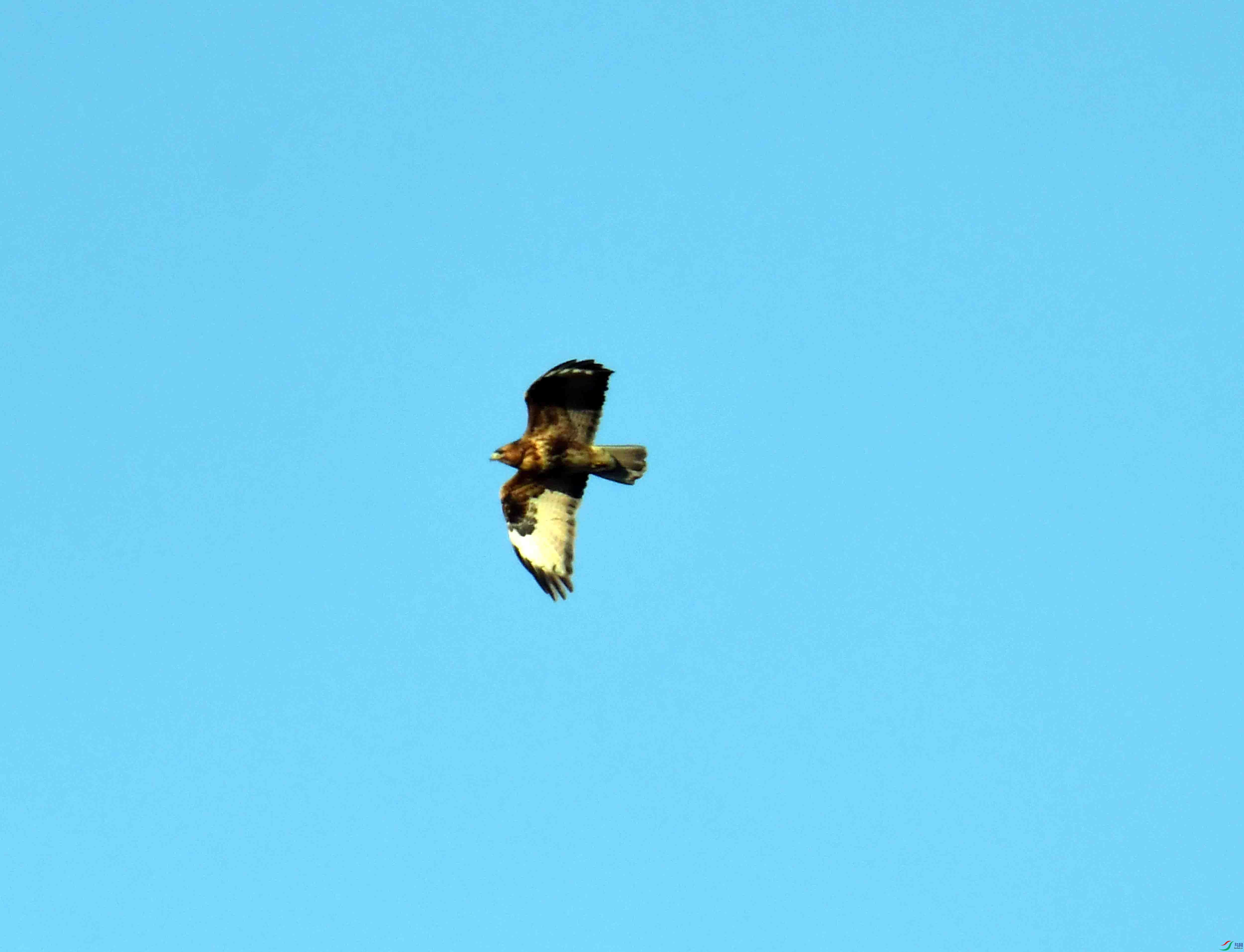 DSC_0298.JPG