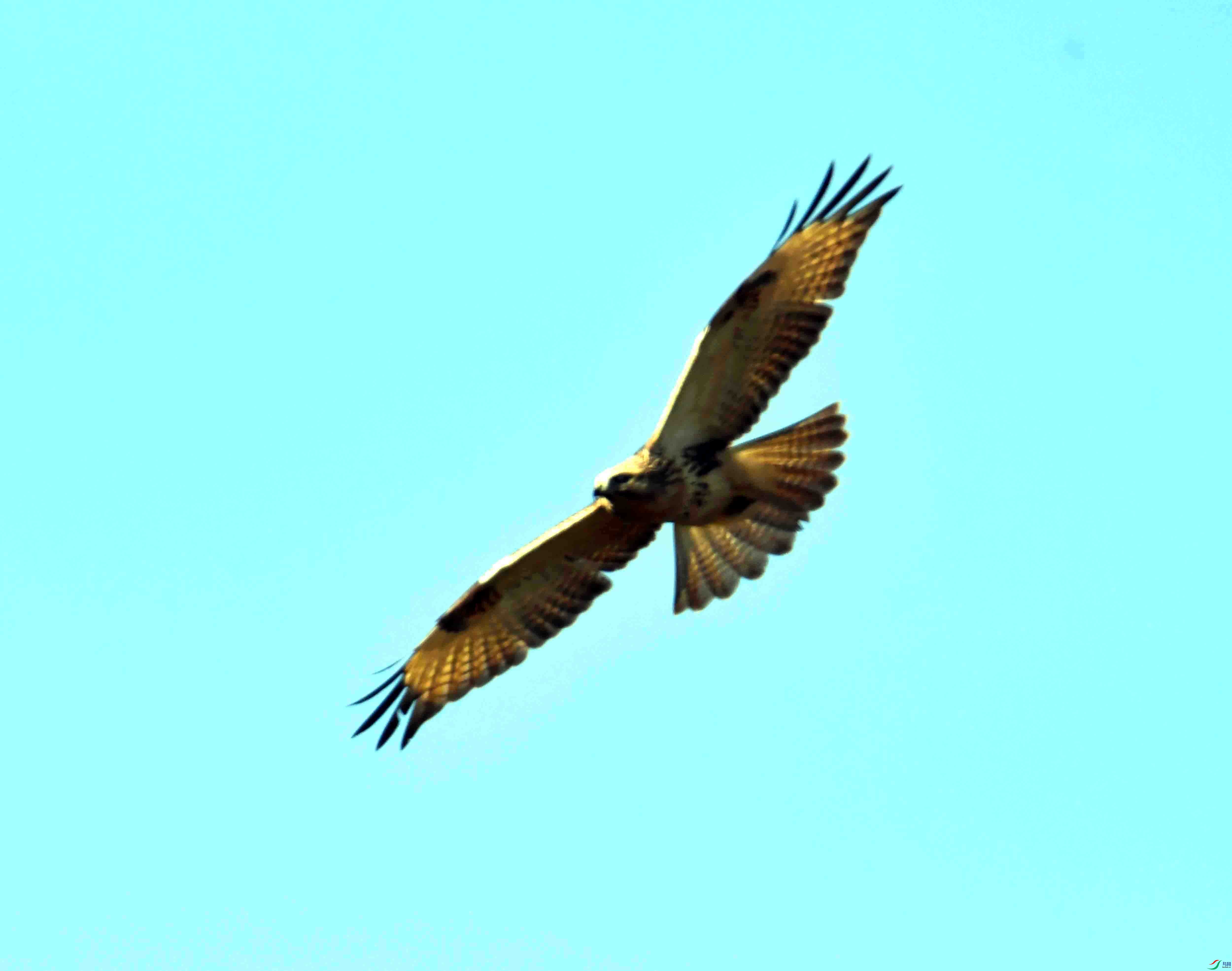DSC_0432.JPG