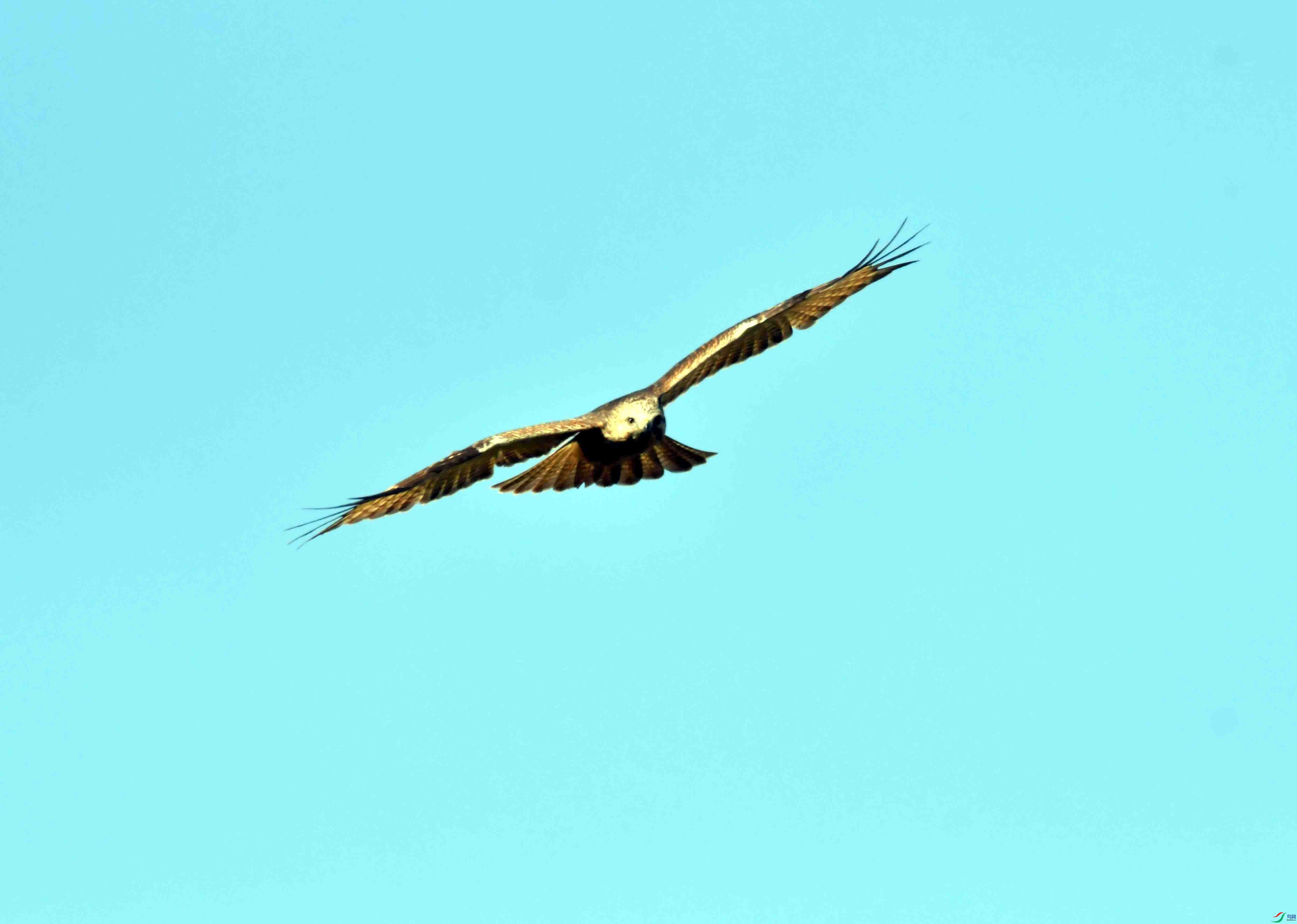 DSC_0431.JPG