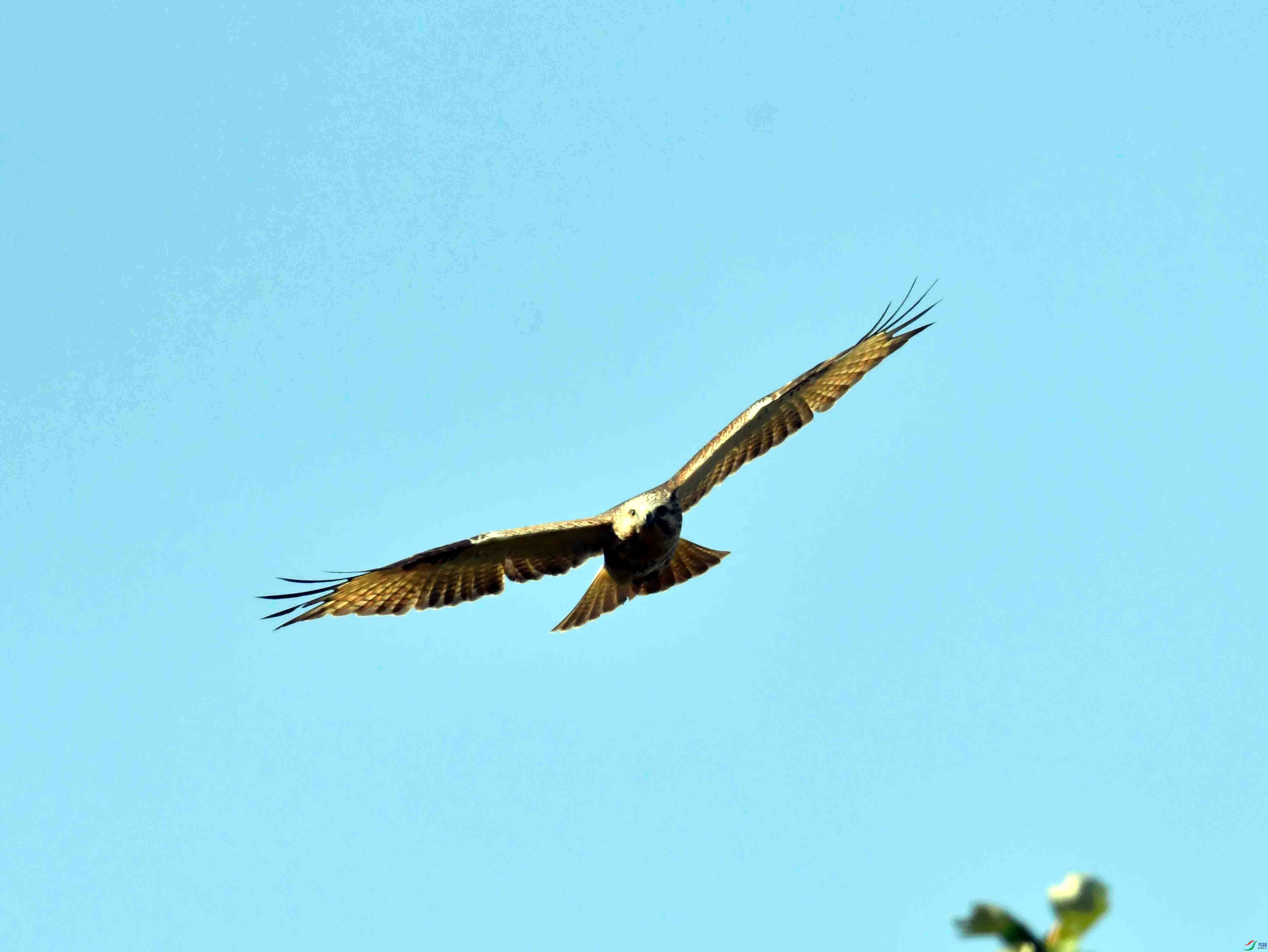 DSC_0435.JPG