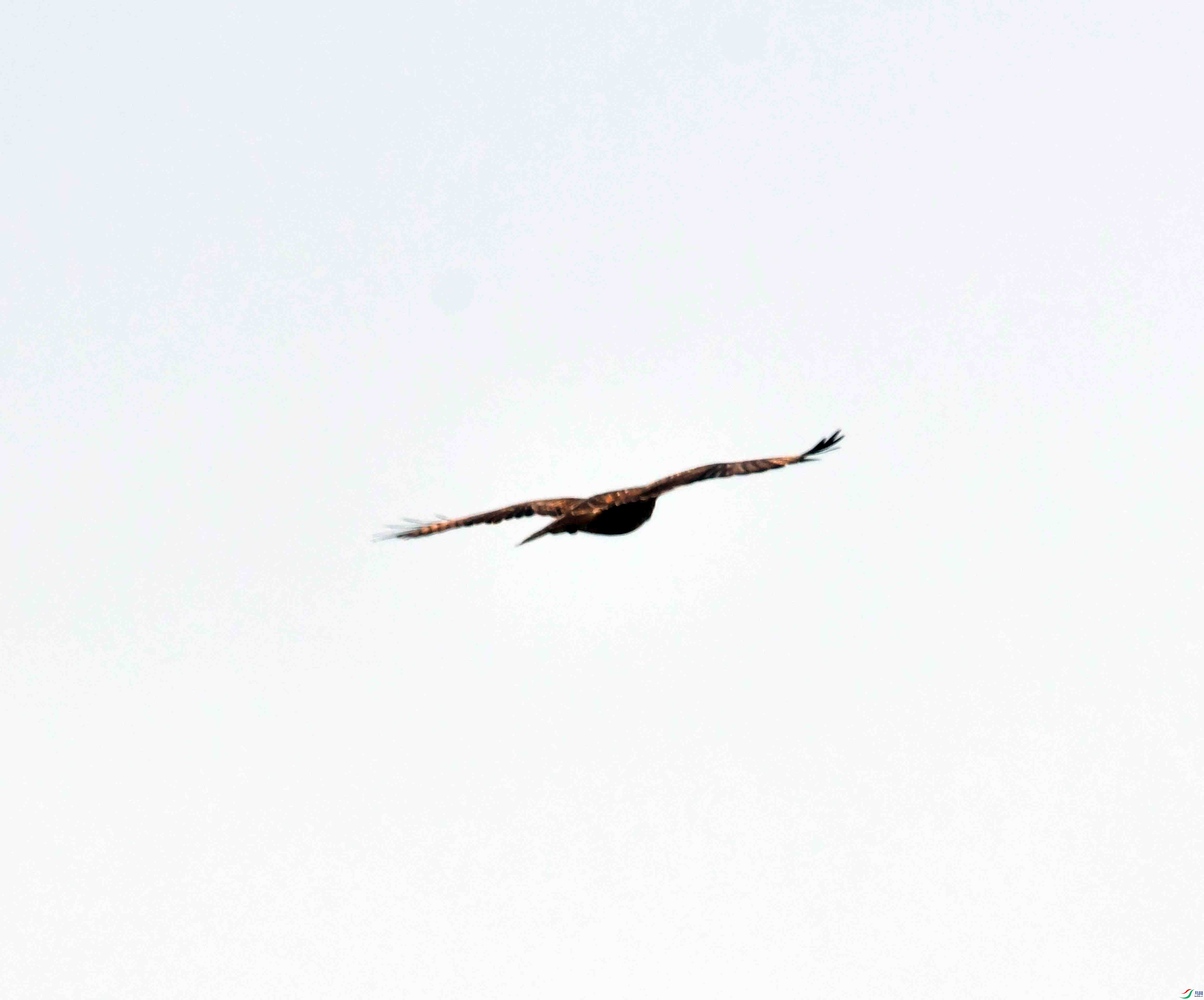 DSC_0441.JPG