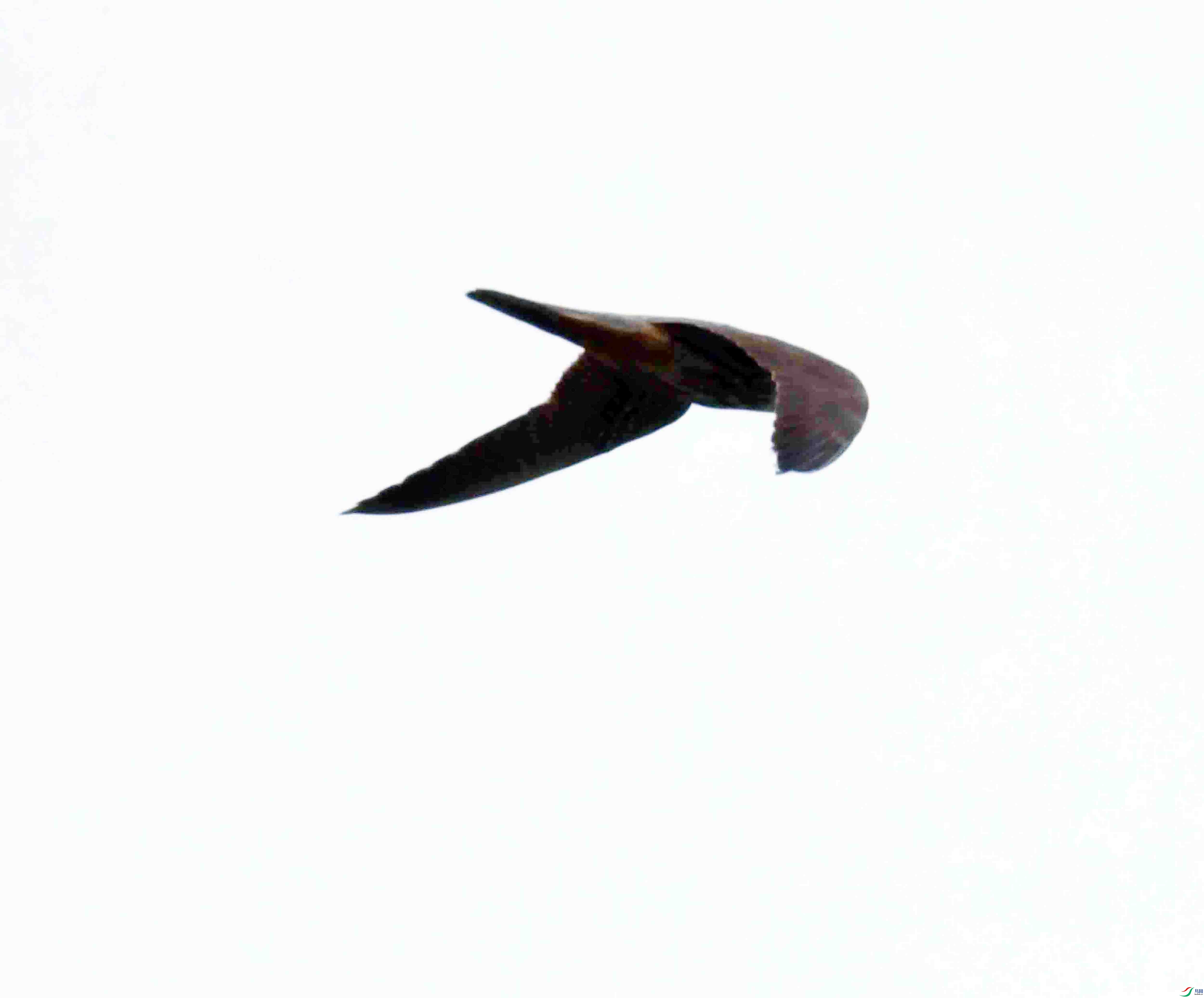 DSC_0436.JPG