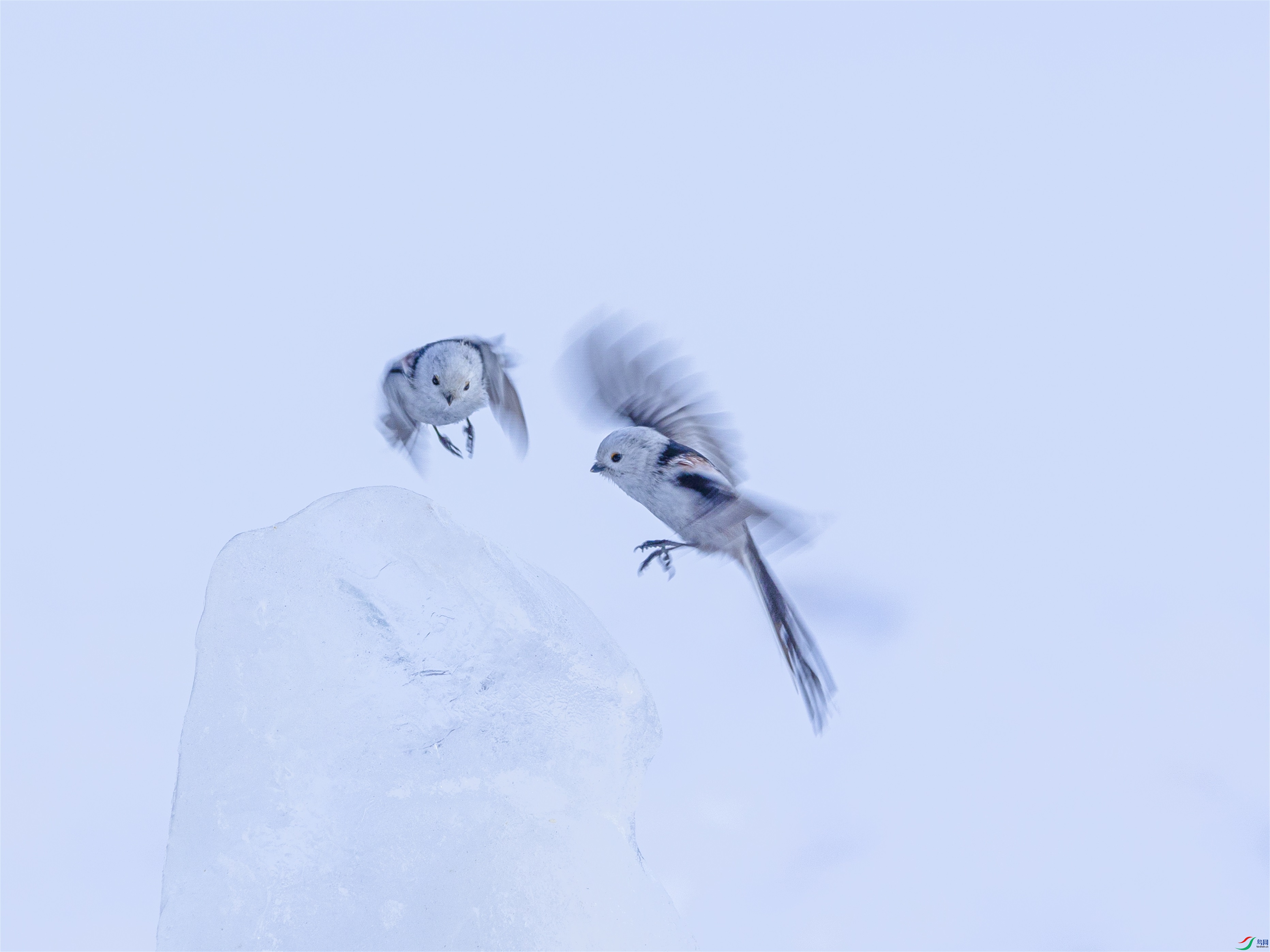 1K3A2278 ����1.jpg