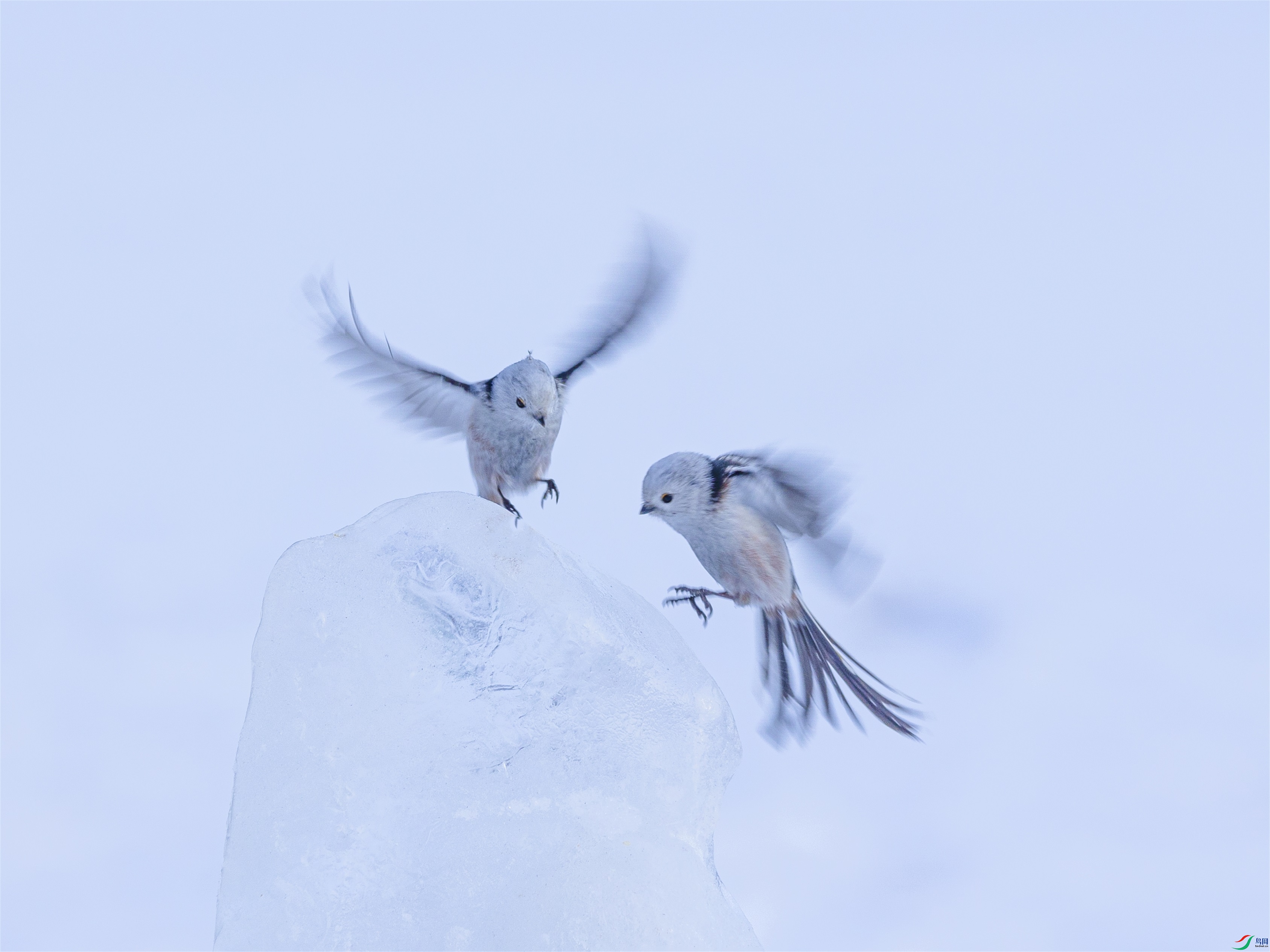 1K3A2276 ����1.jpg