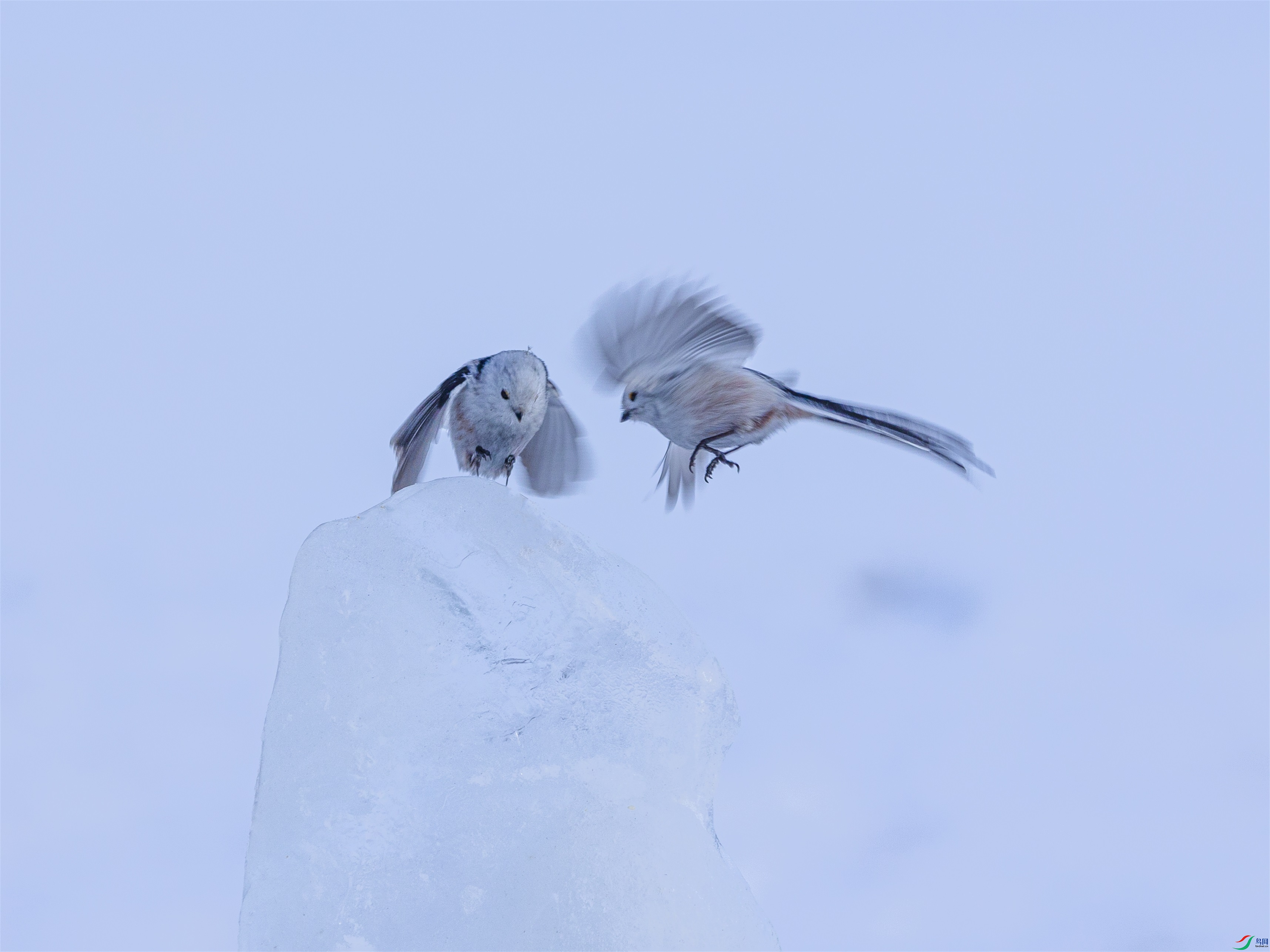 1K3A2280 ����1.jpg