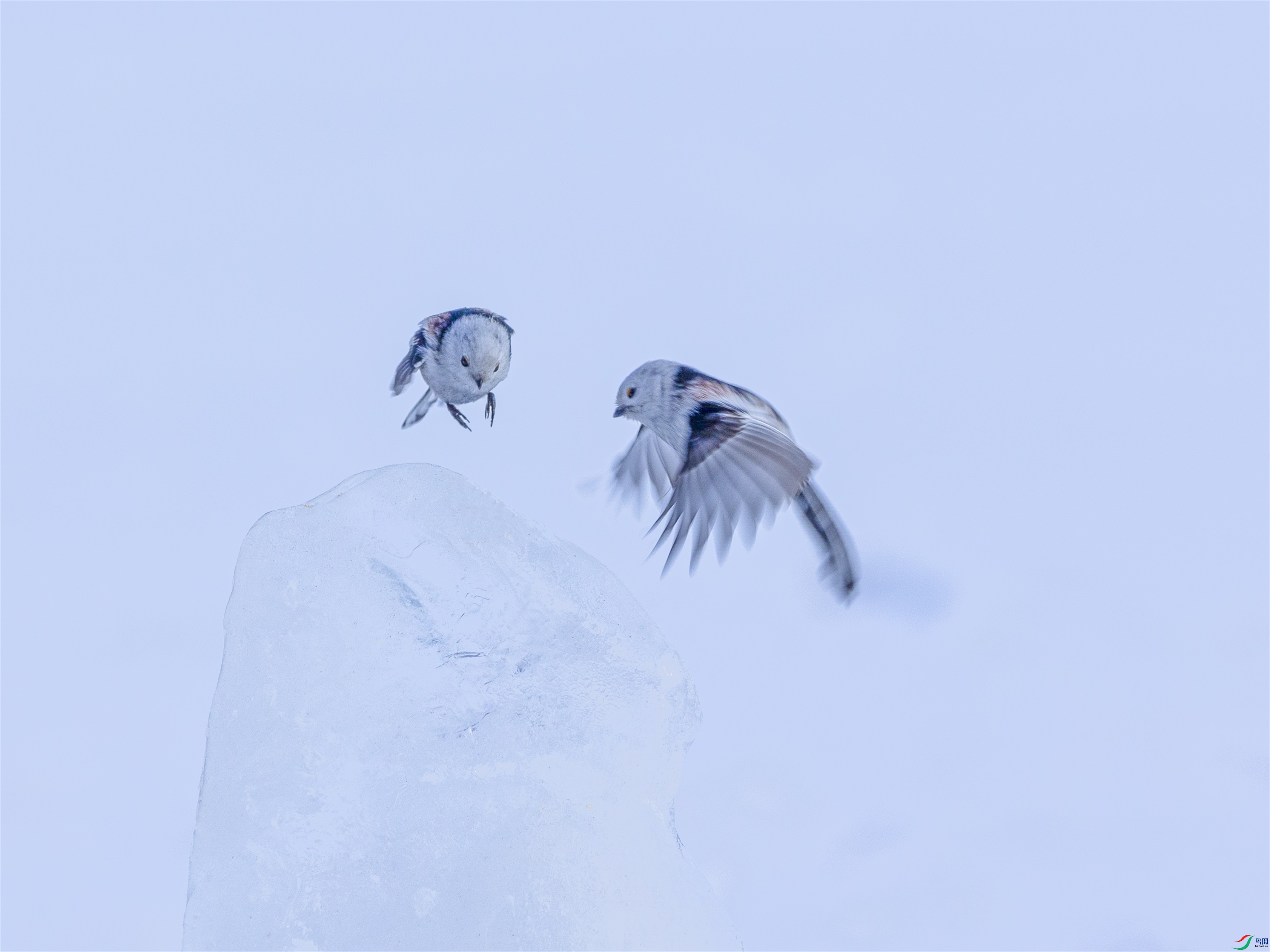 1K3A2279 ����1.jpg