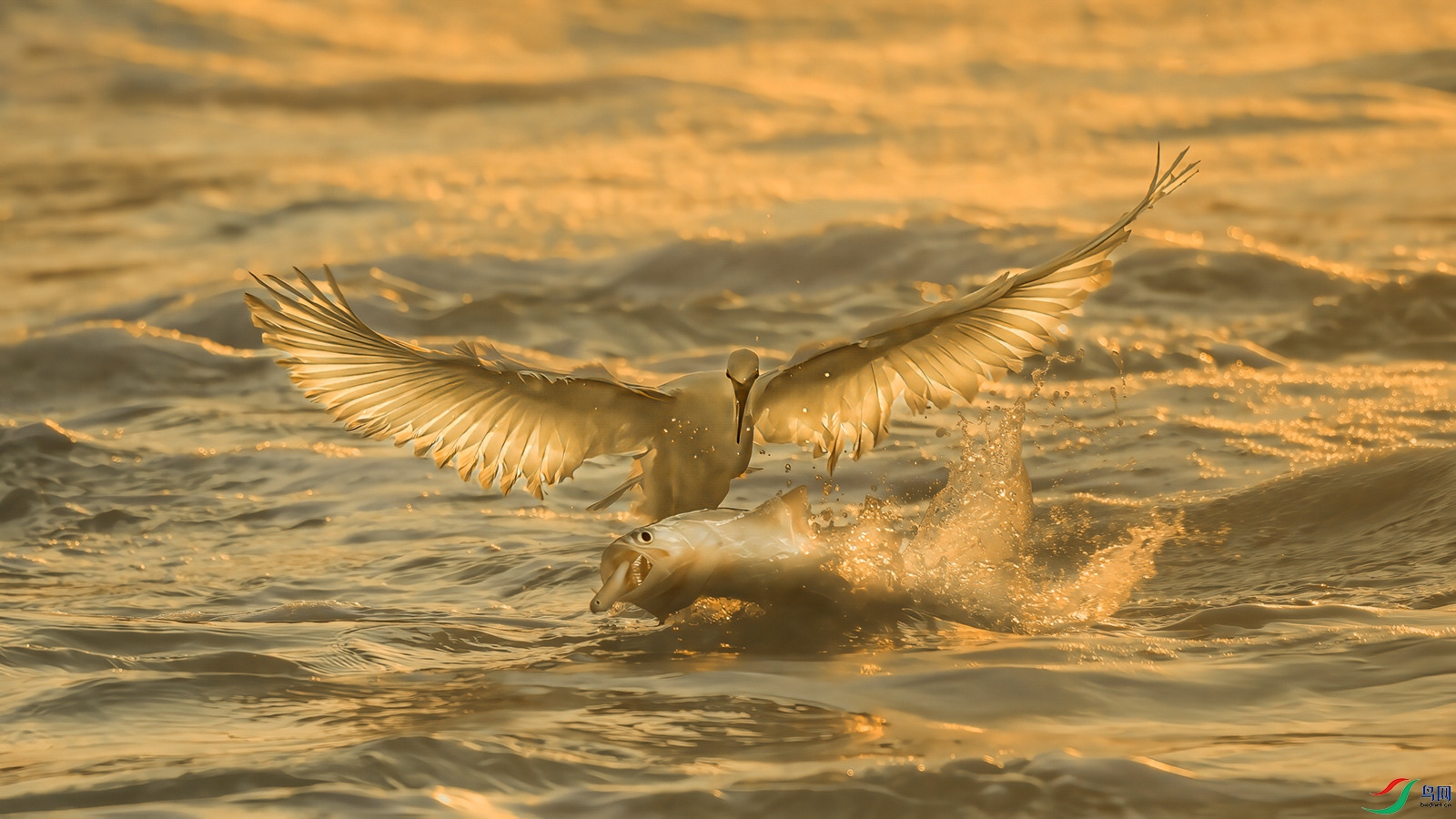 25408 �����㡷_����.jpg