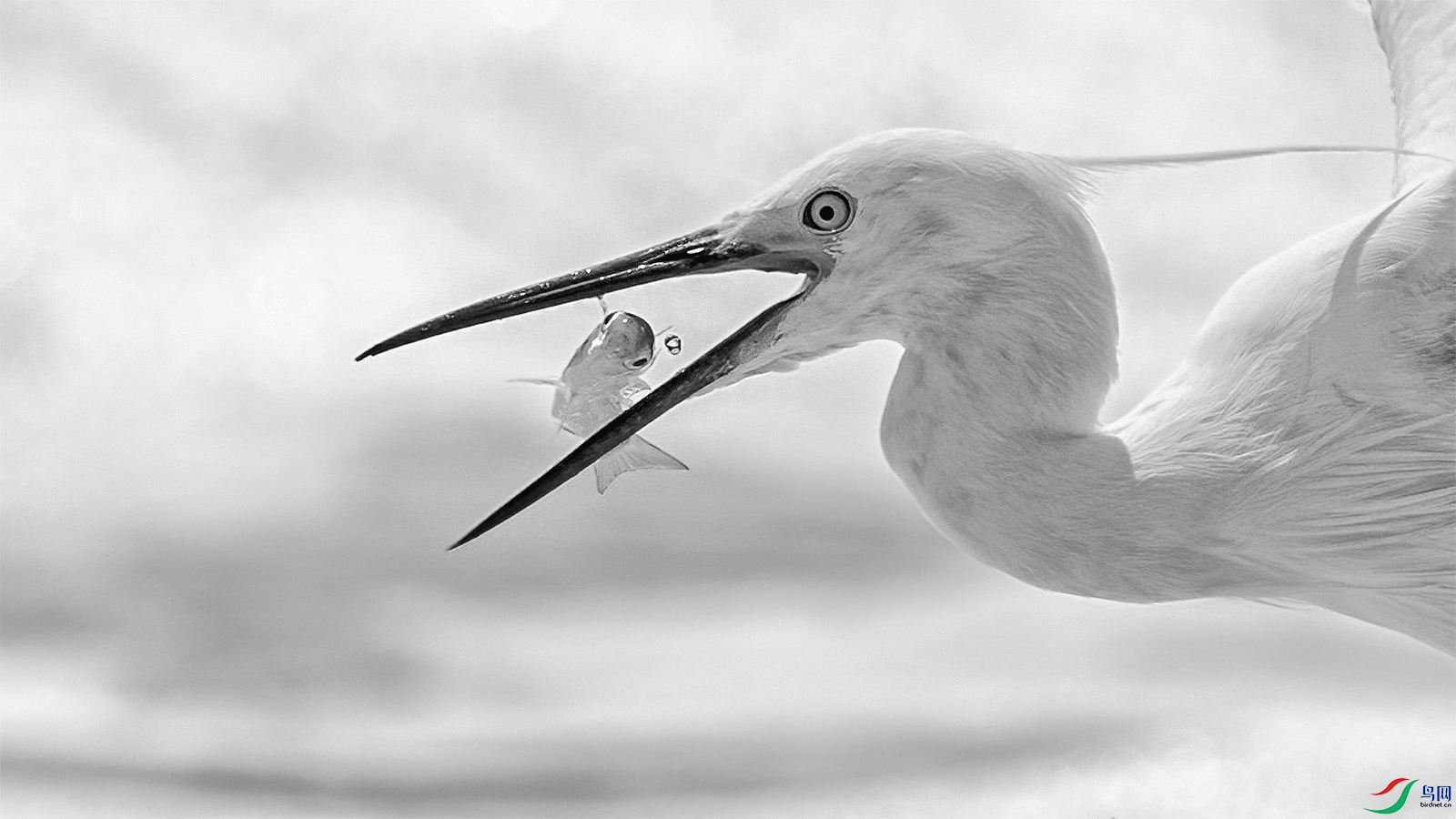 24716  ��������ᡷ_����.jpg