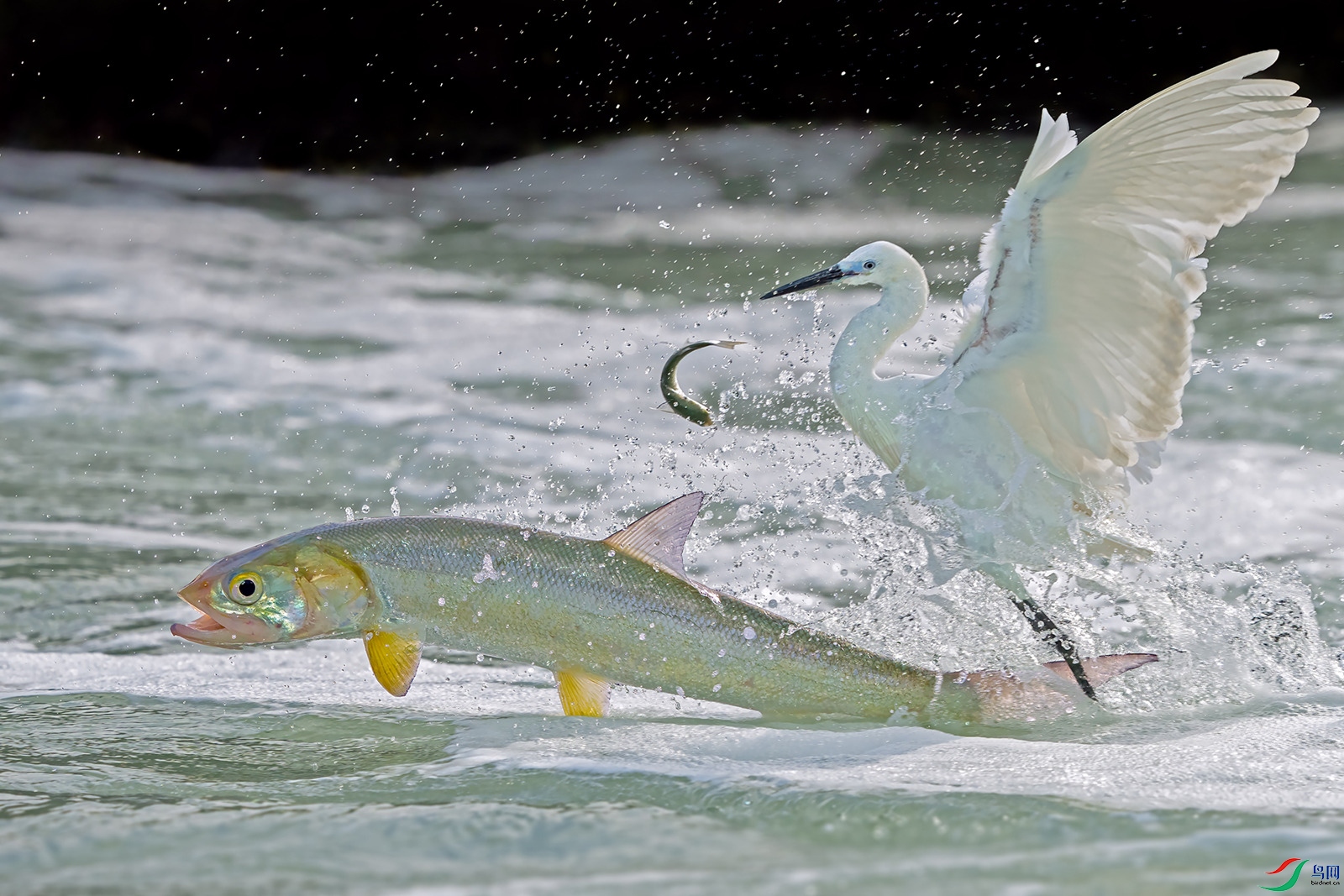 24712  ����ˮһս��_����.jpg