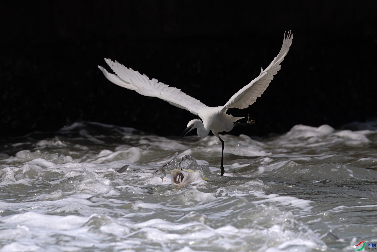 24597  ���պ�������_����.jpg