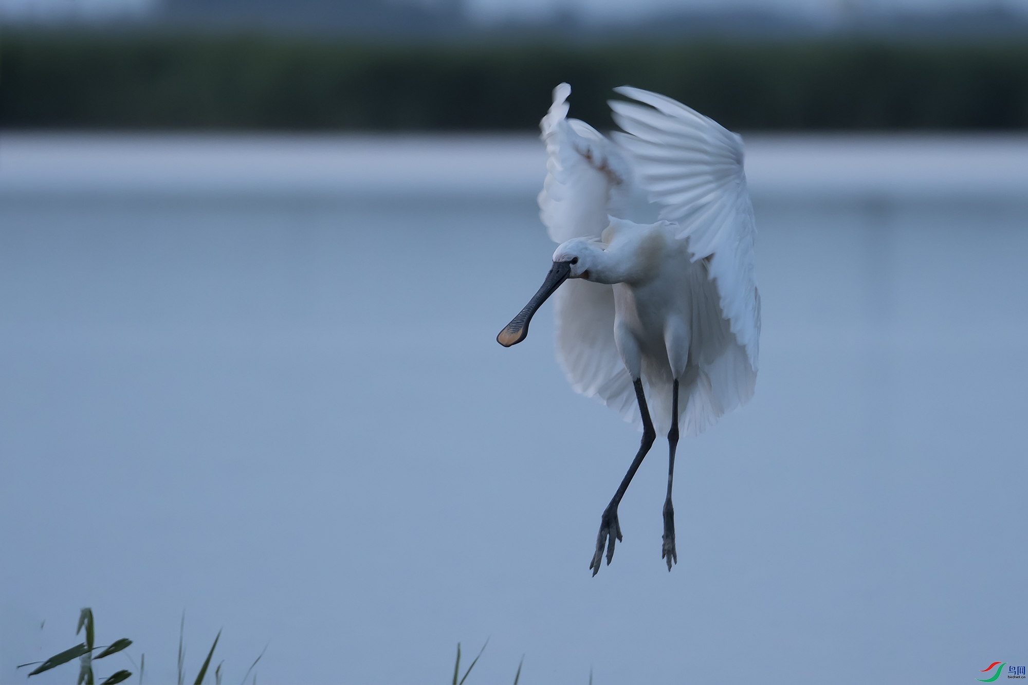 DSC_9221.jpg