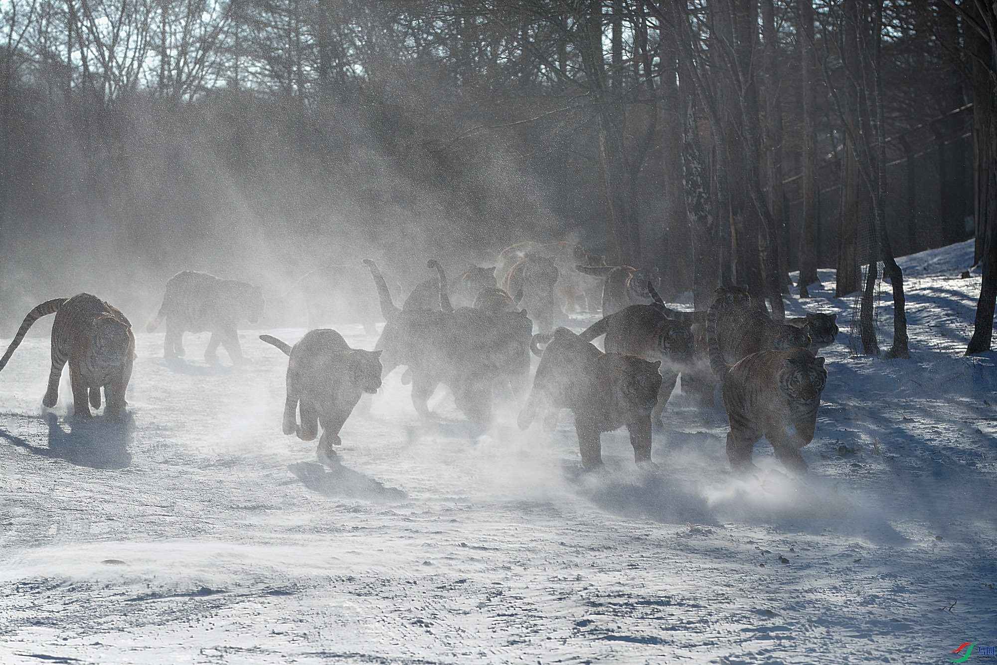 AQ9I5447 ����.jpg