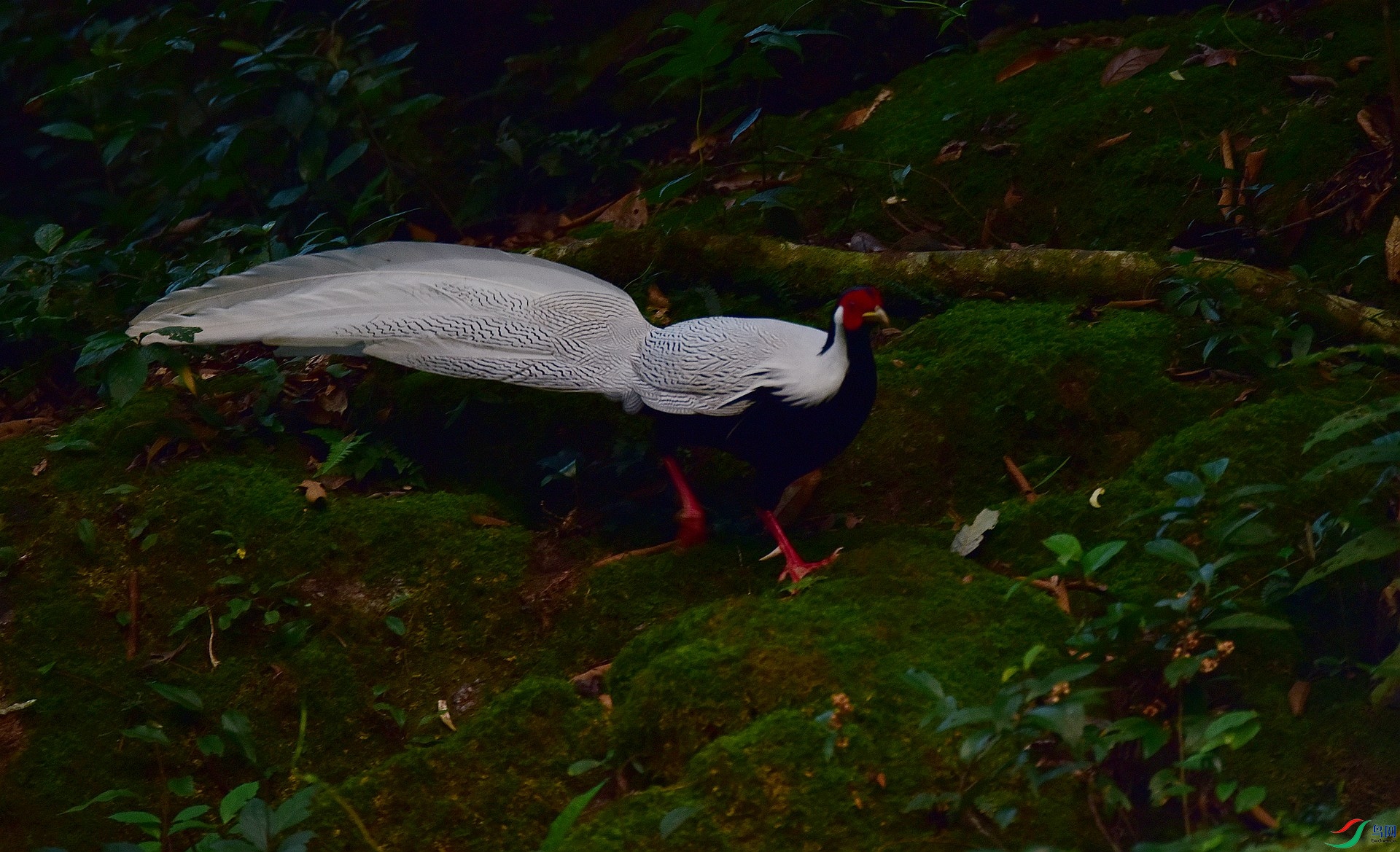 D8I_9770.jpg