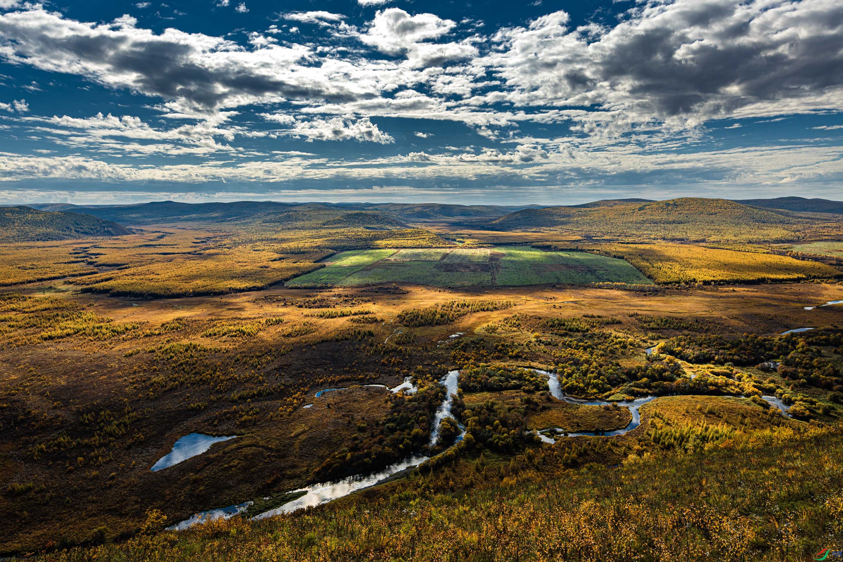 ��³��ʪ�ط��